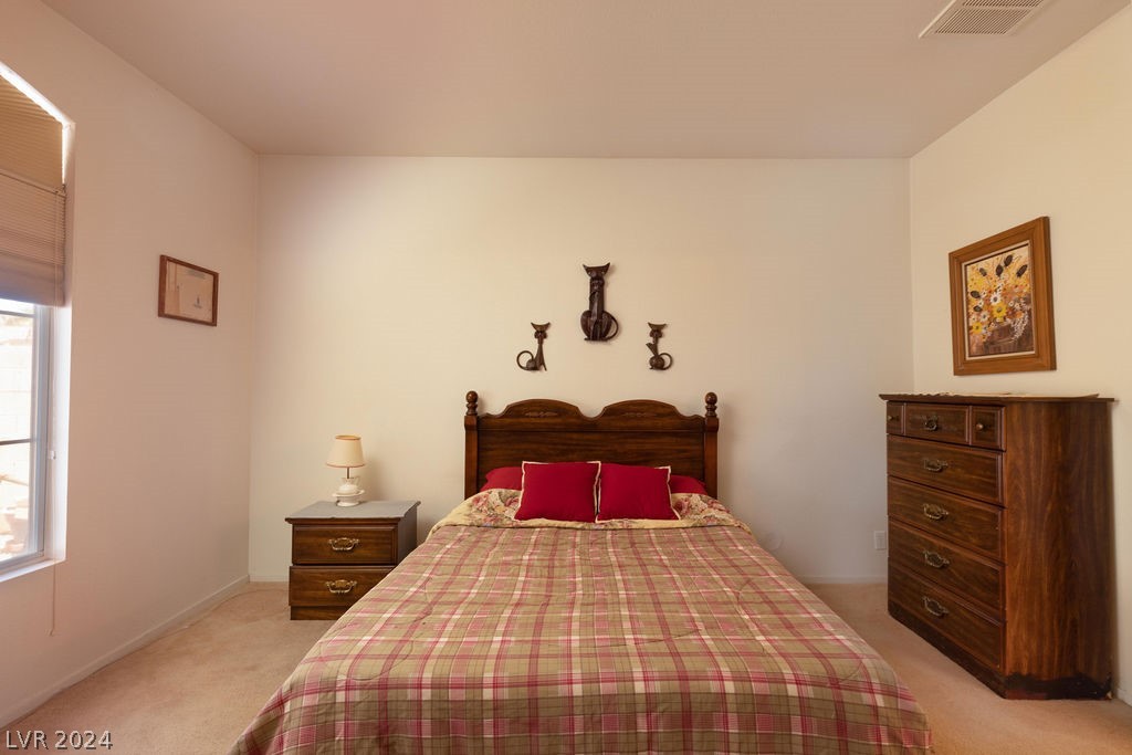 7228 Scenic Desert Court