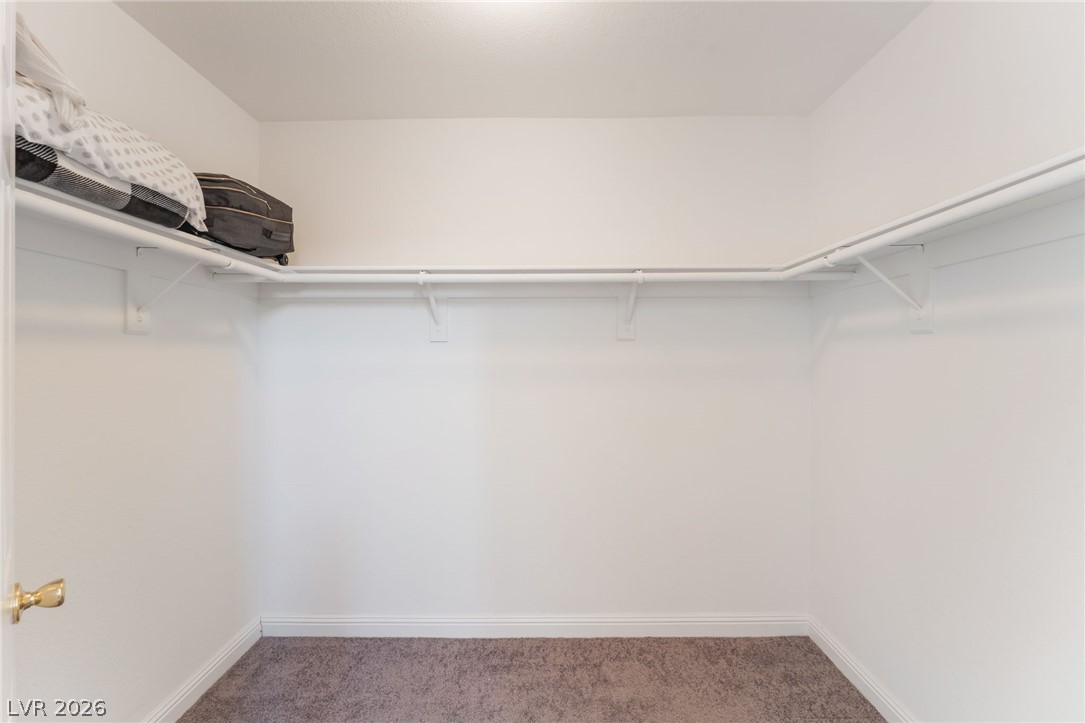 1317 Blue View Court