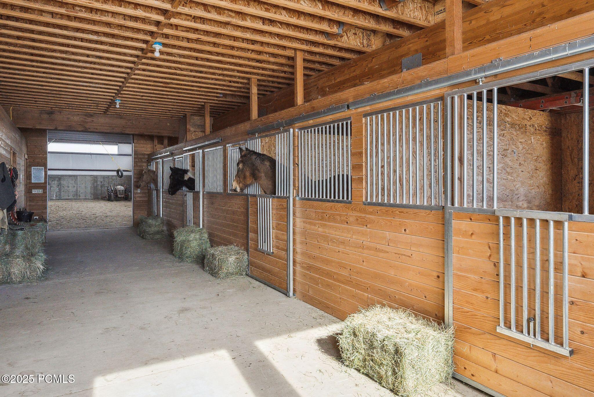 9036 Cottonwood Trail Trail