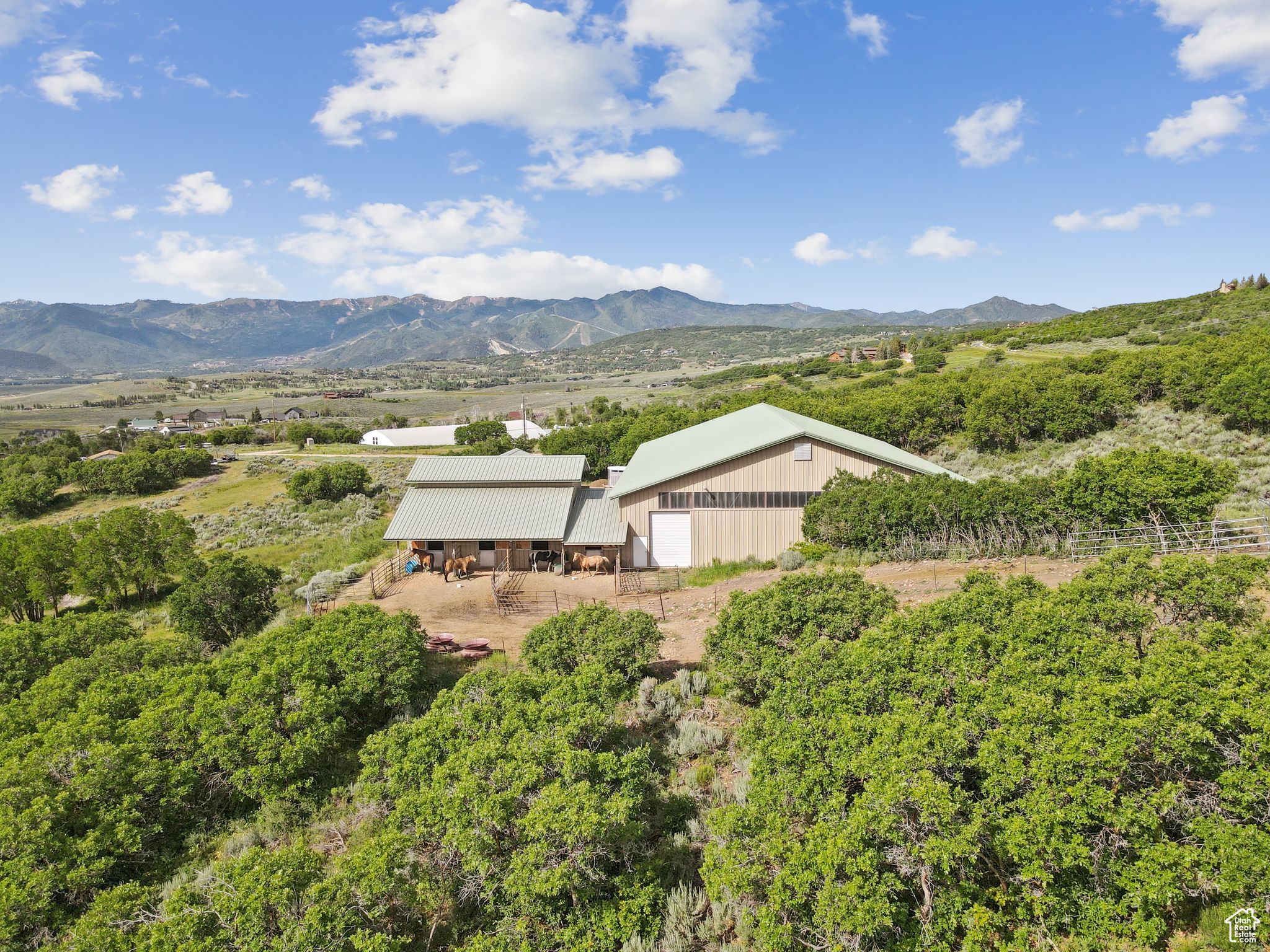9036 COTTONWOOD TRL