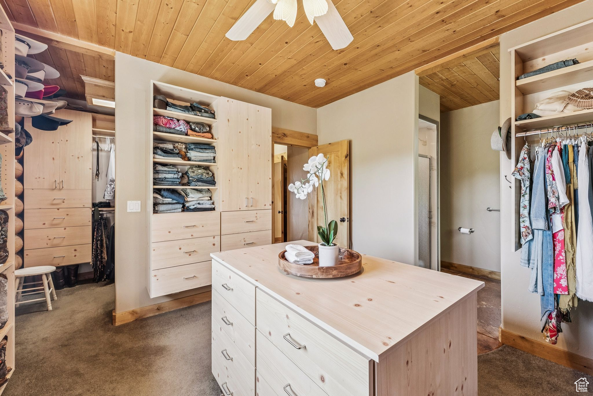 9036 COTTONWOOD TRL