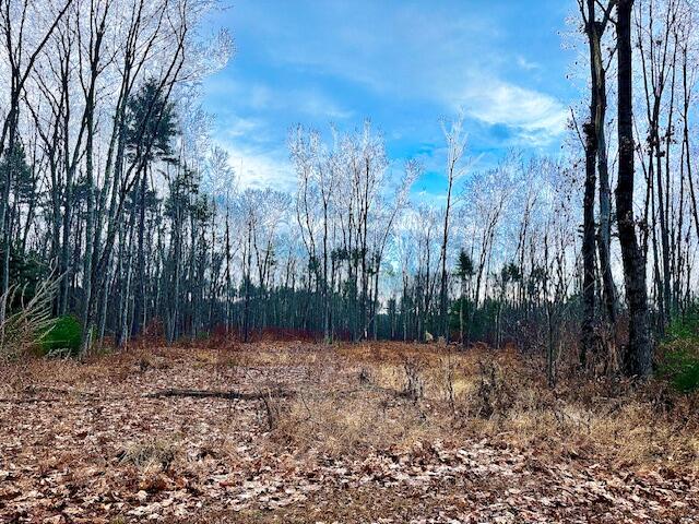 Lot # Wyman Street