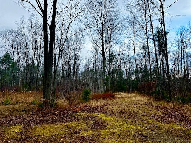 Lot # Wyman Street