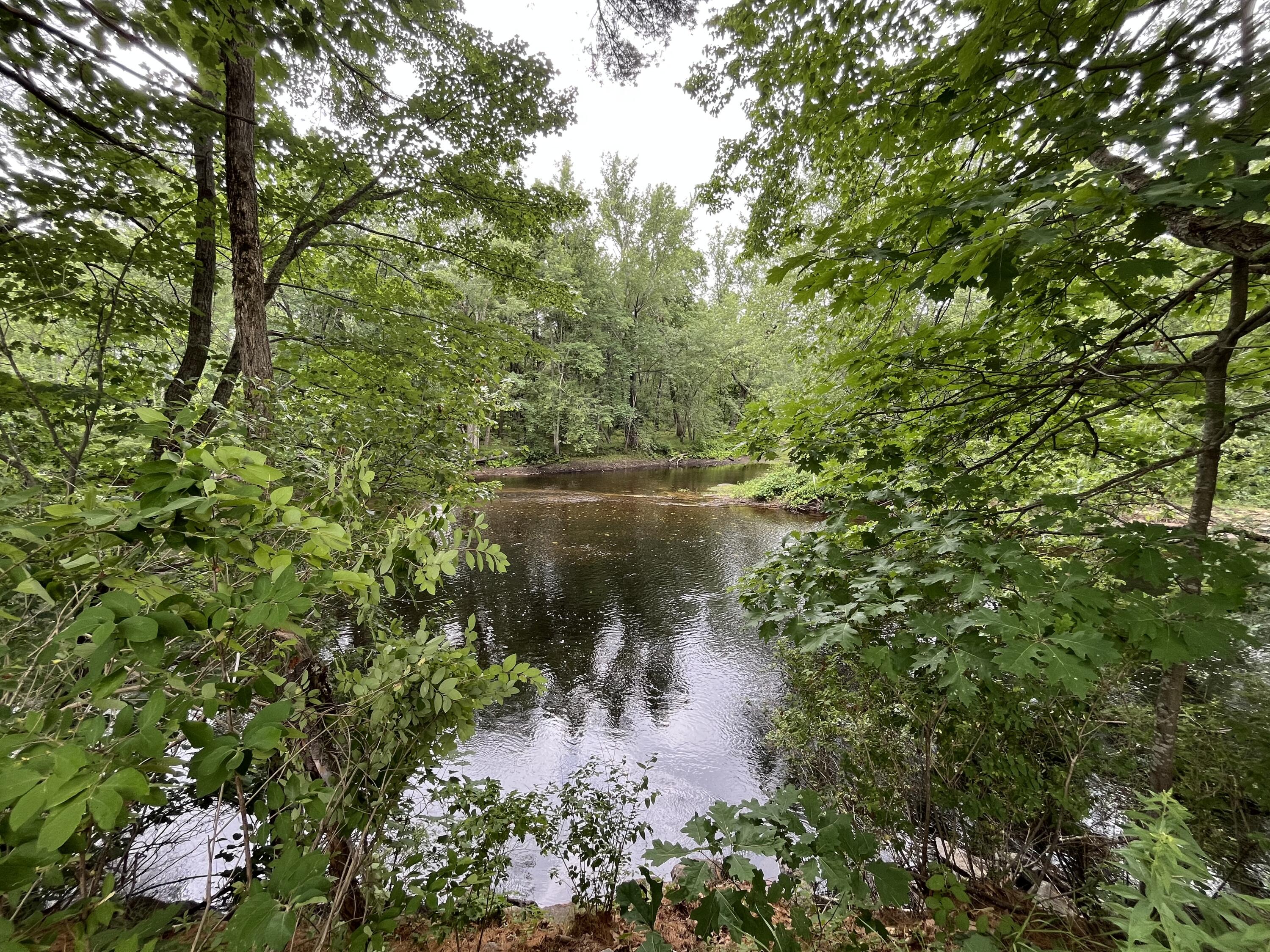 83 River Road