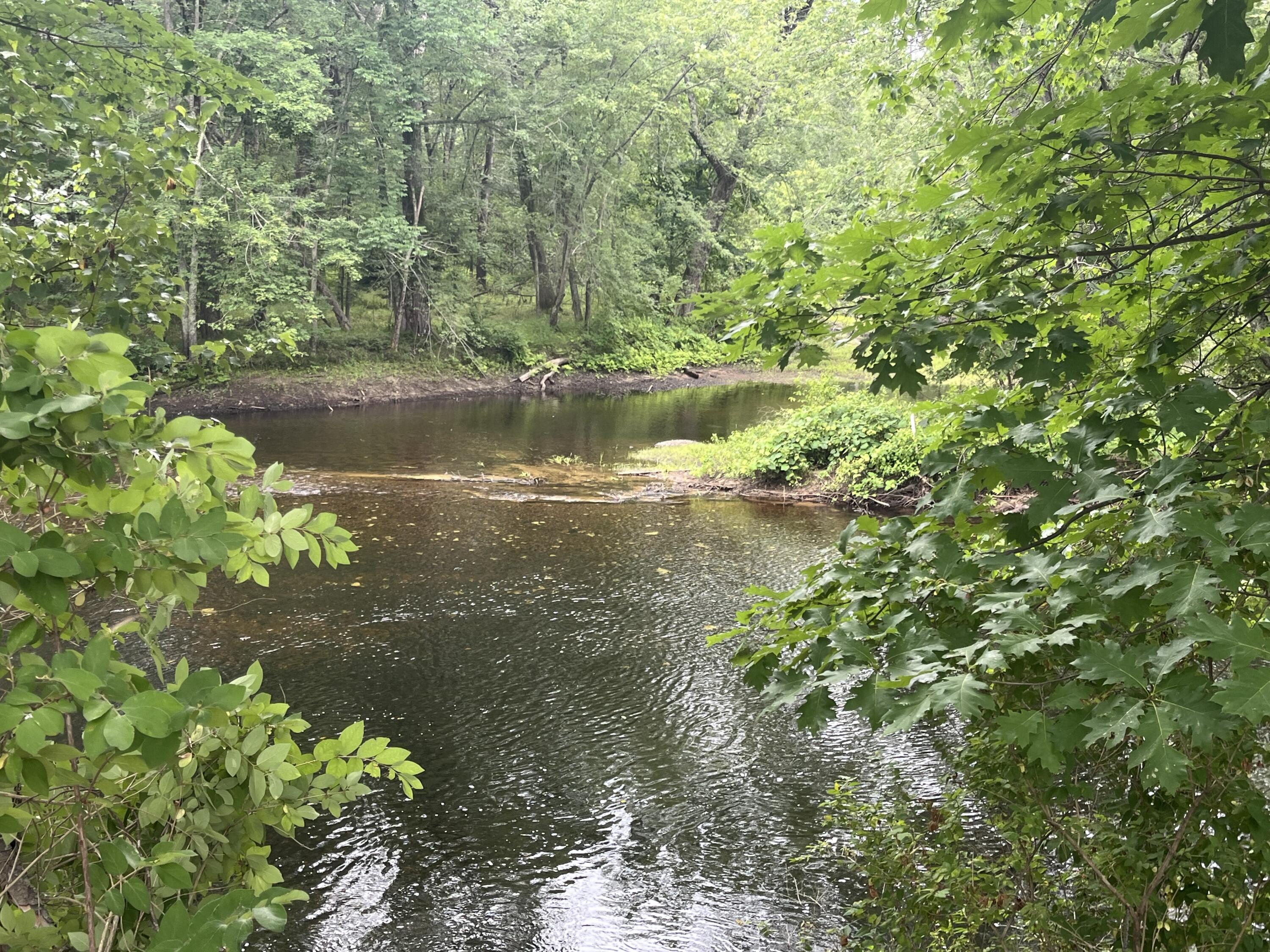 83 River Road