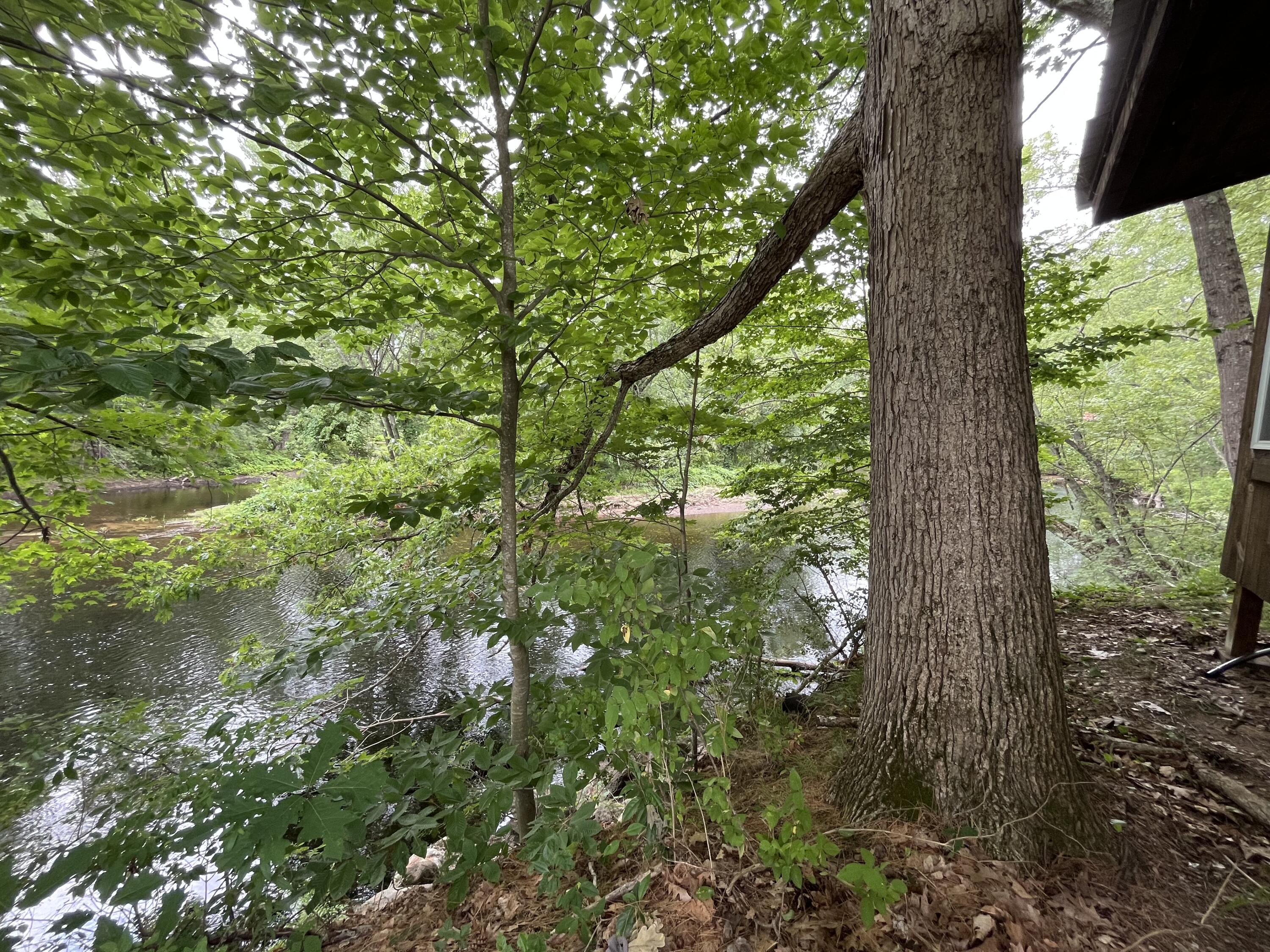 83 River Road