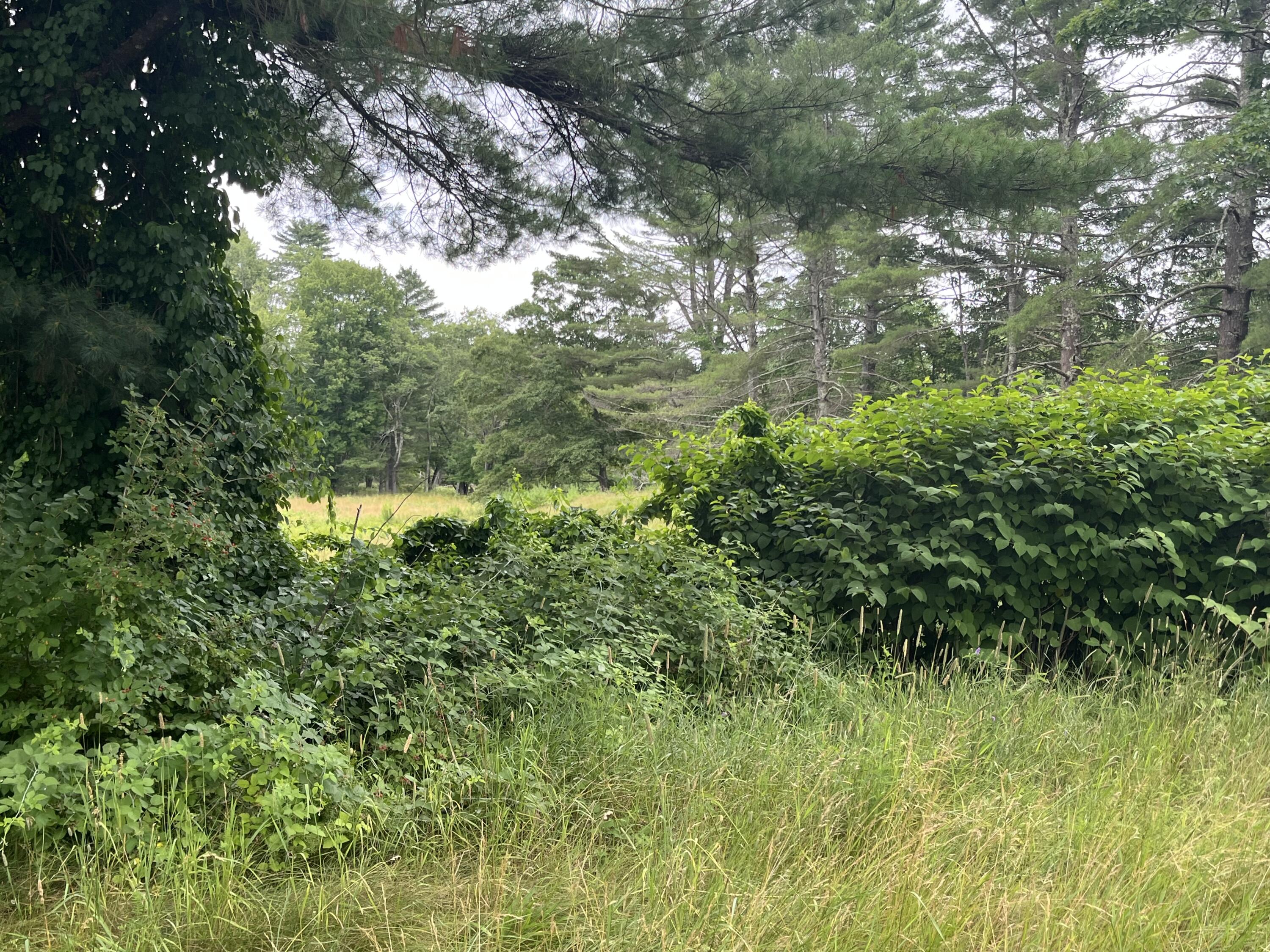 83 River Road