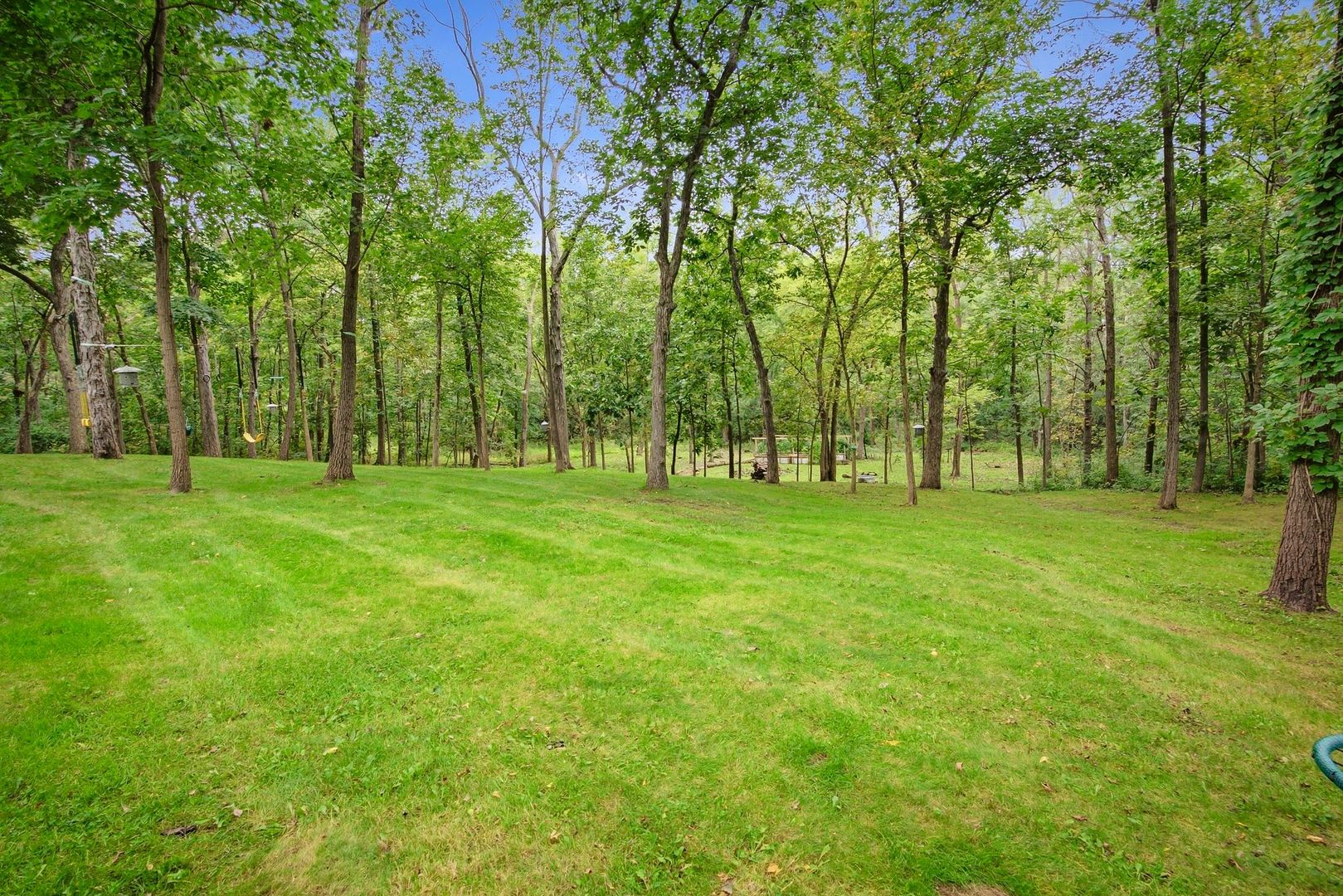 3213 Westover Lane