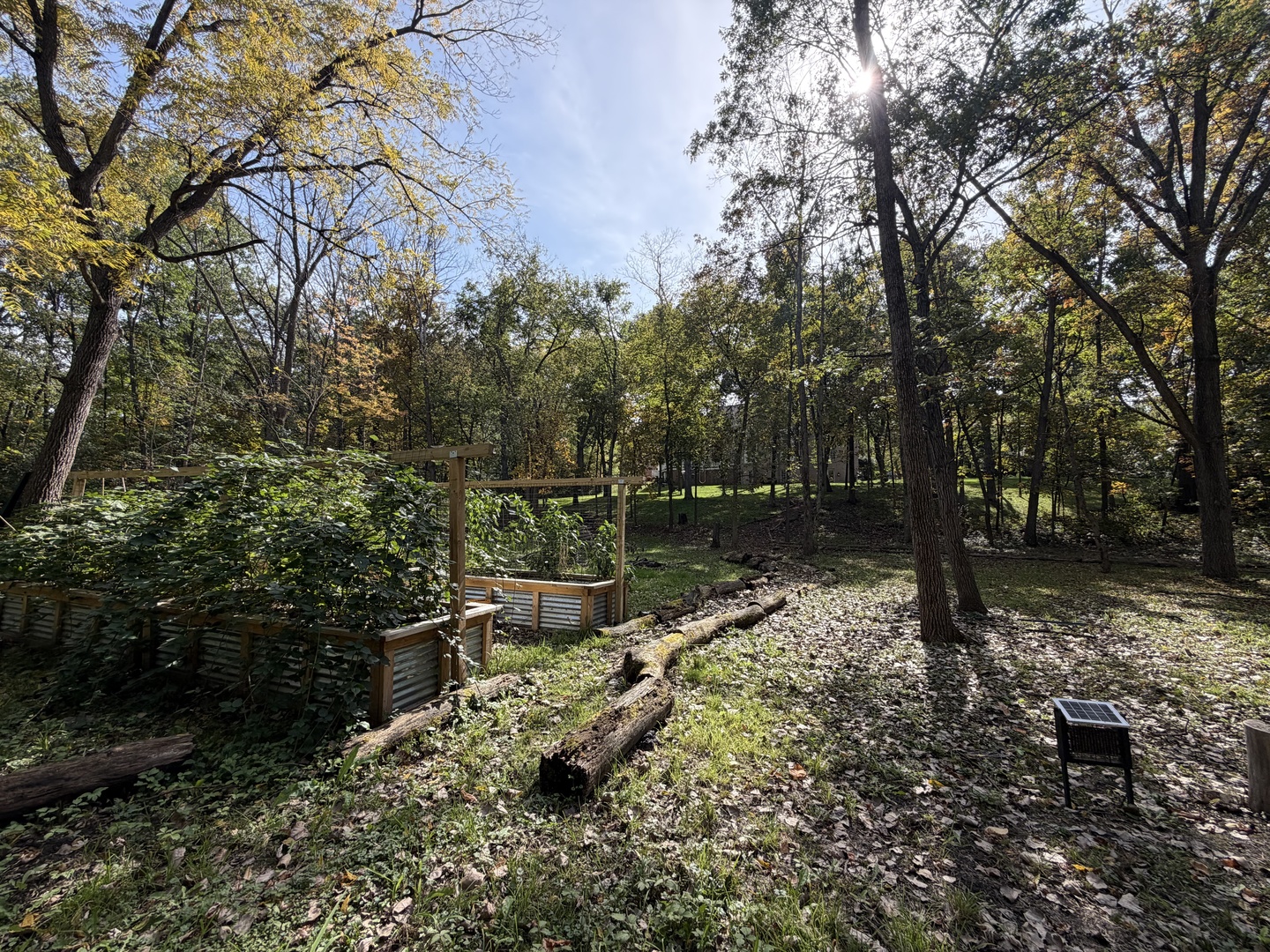 3213 Westover Lane