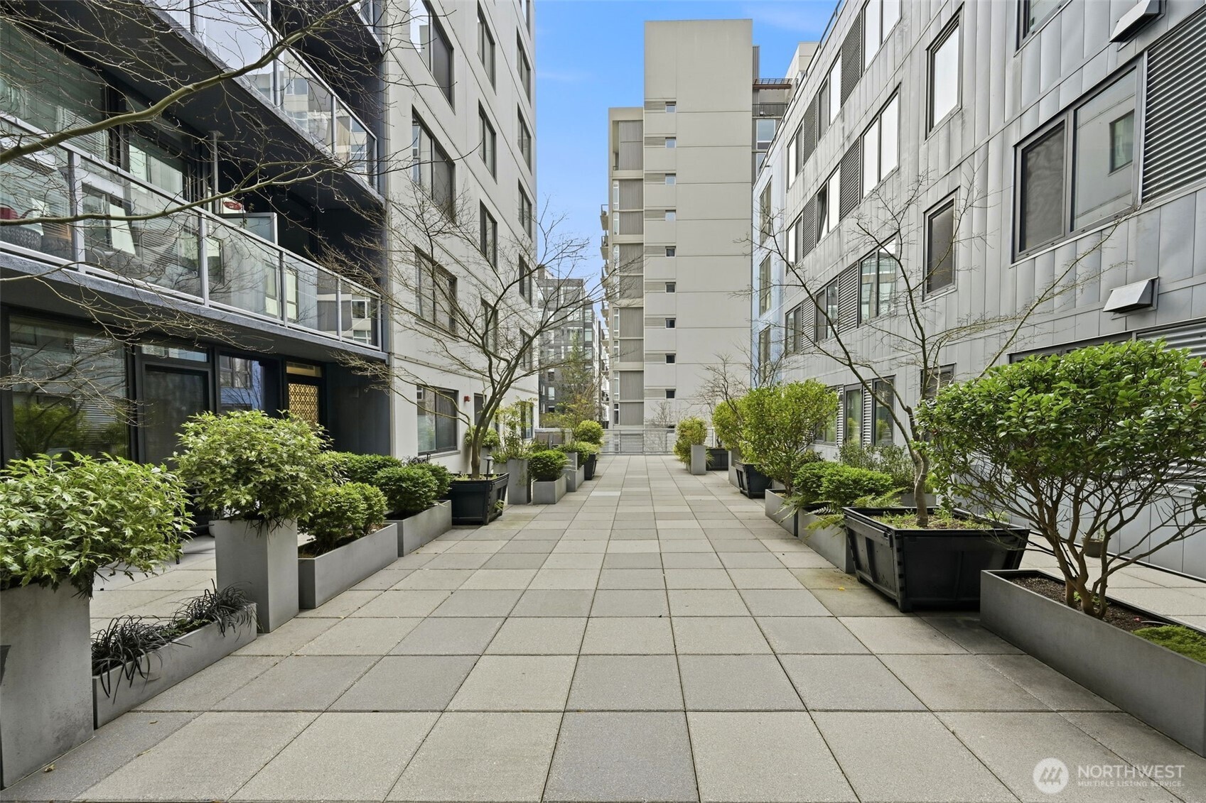 76 Cedar Street Unit: 807