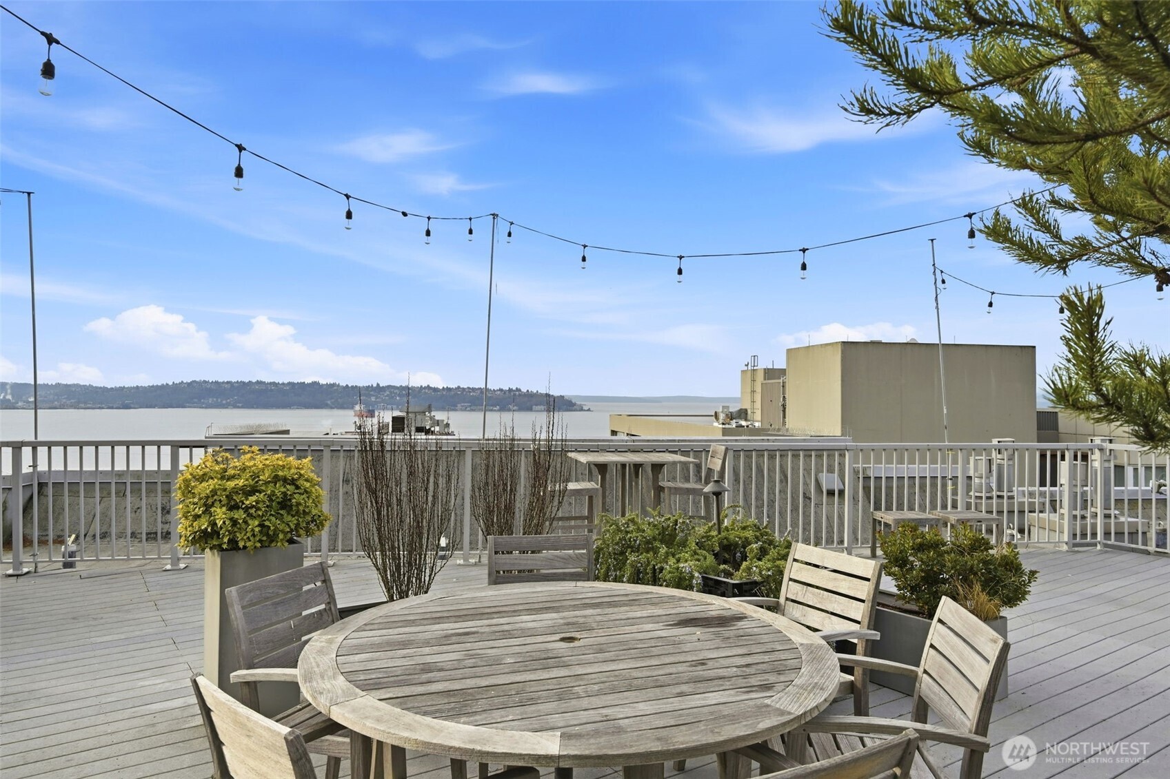 76 Cedar Street Unit: 807