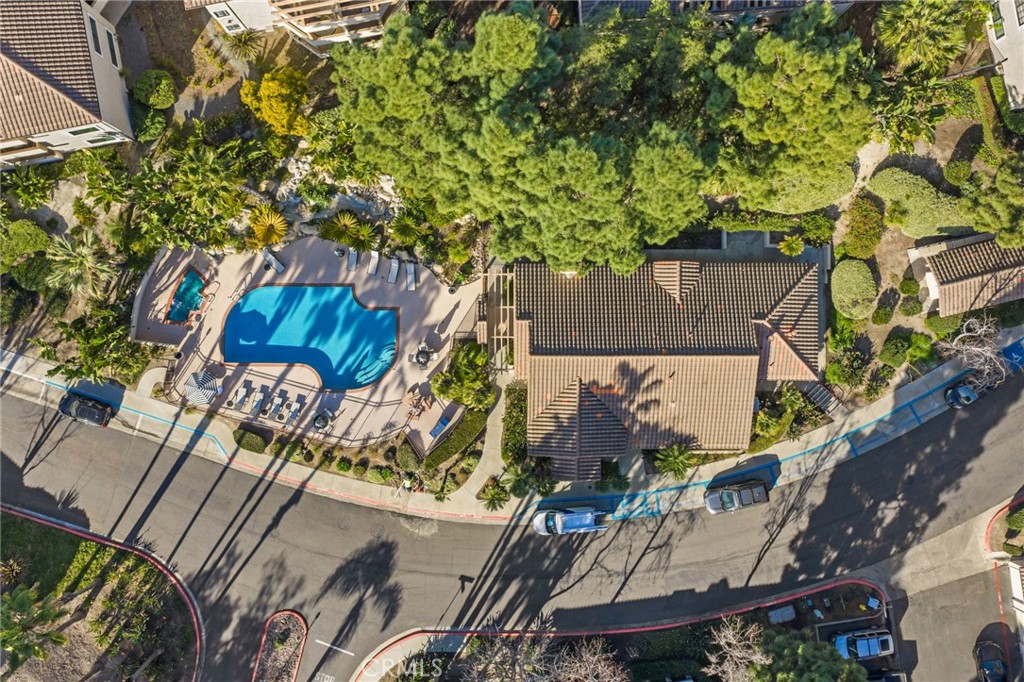 3459 Paseo De Alicia