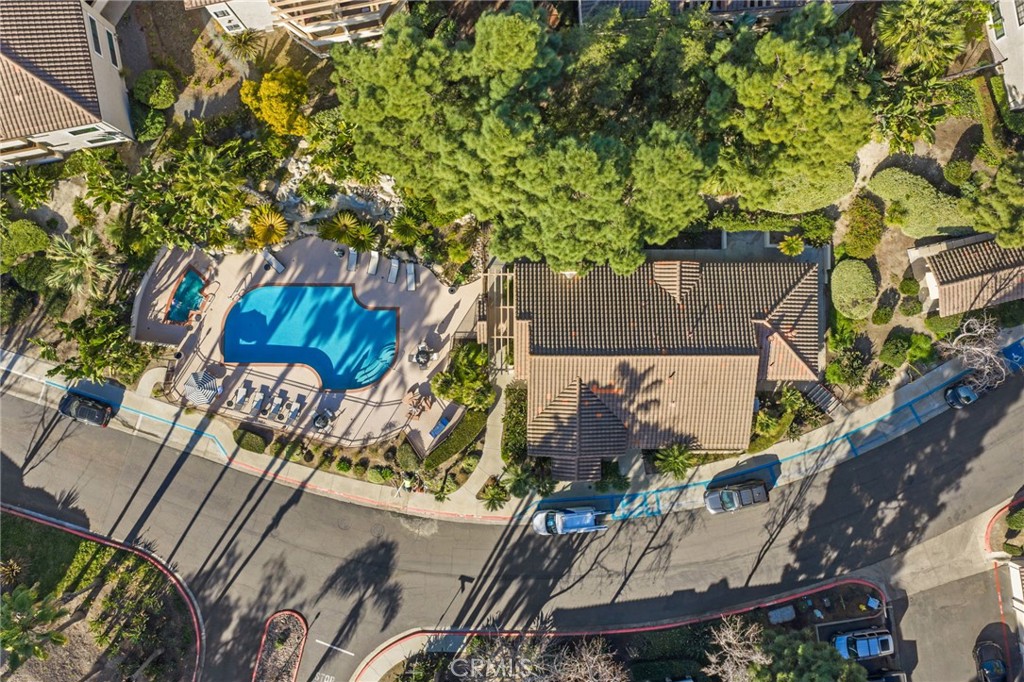 3459 Paseo De Alicia