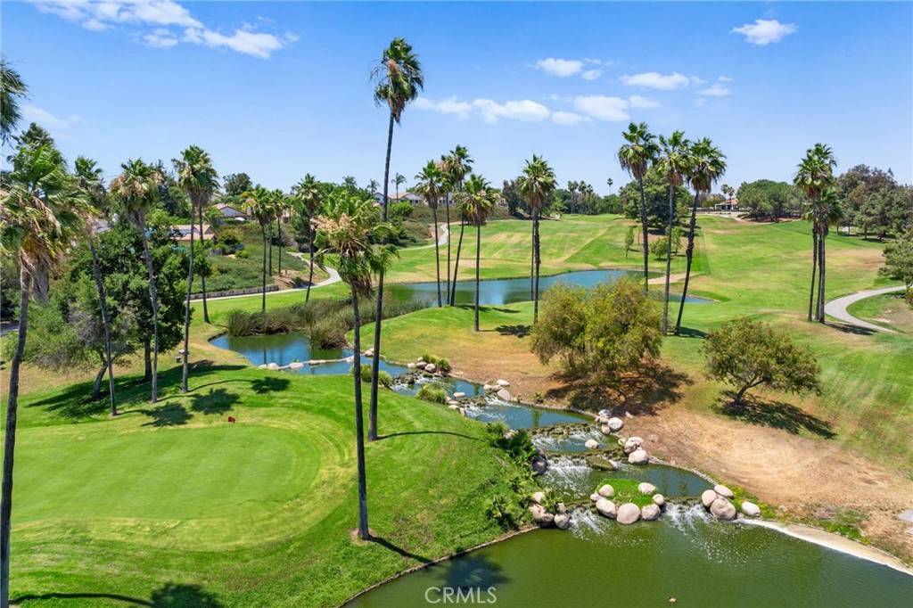 31295 Gleneagles Drive