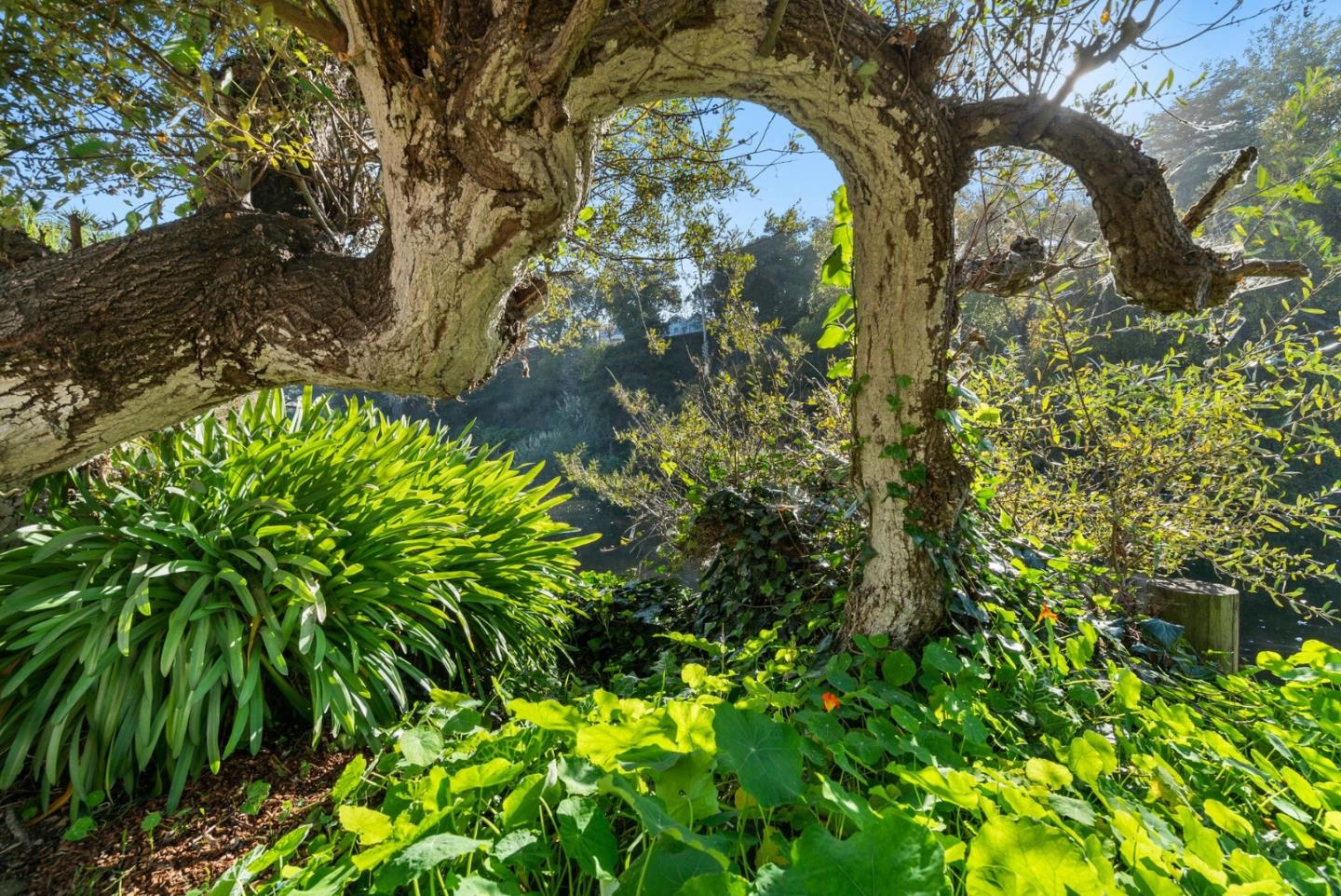 425 Riverview Avenue