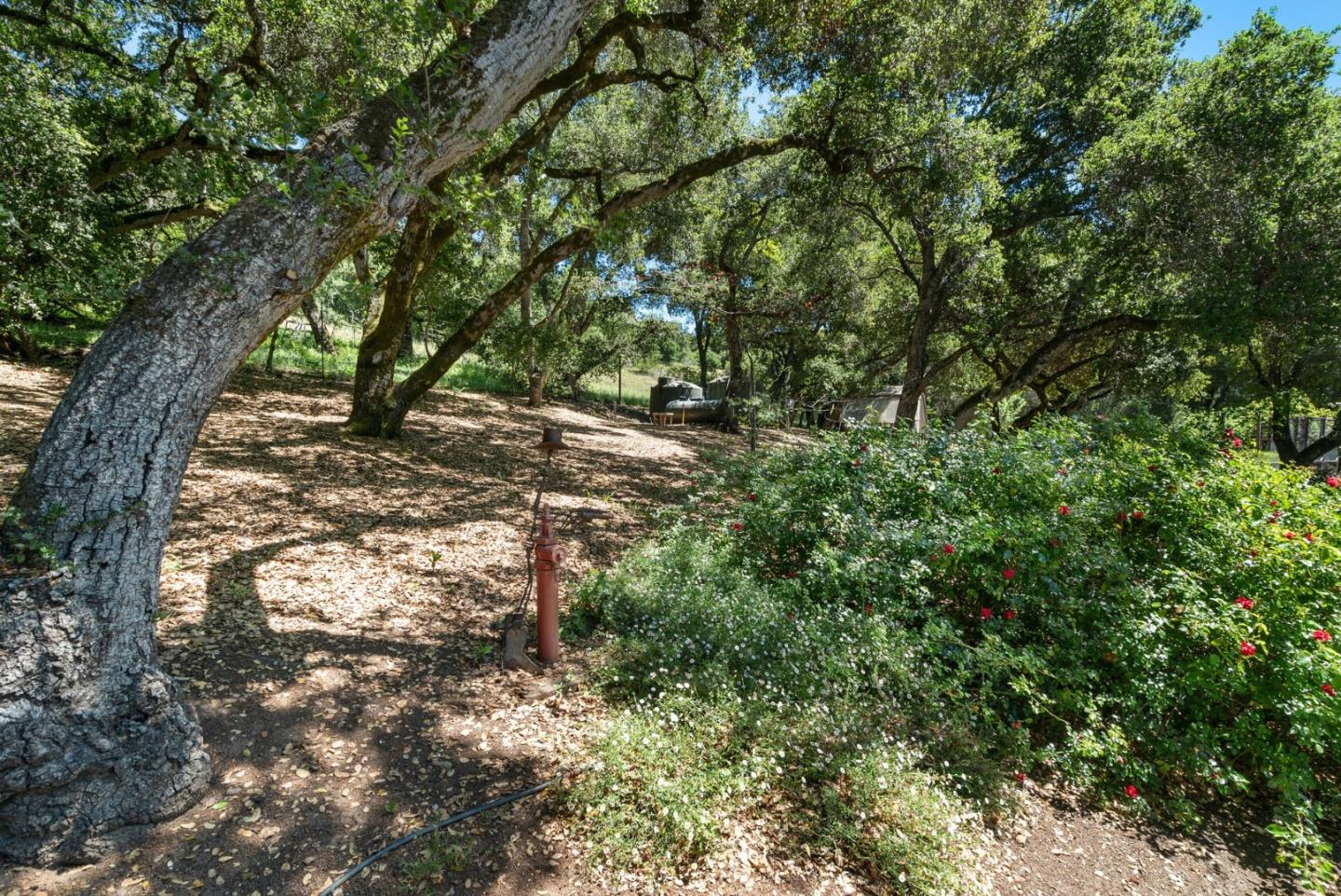 5042 Wildberry LN