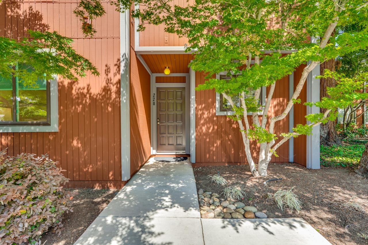 228 Central Avenue