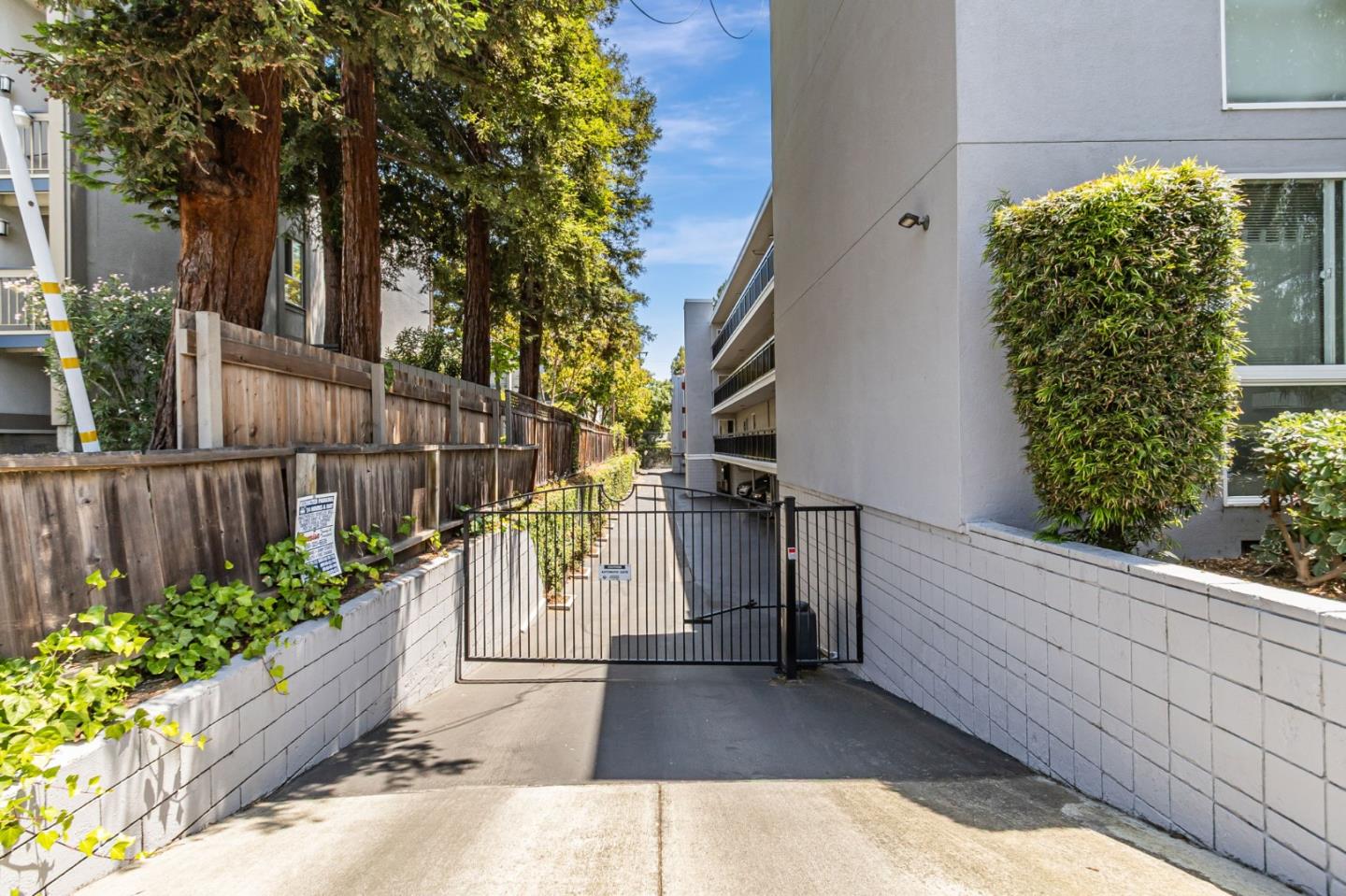 181 Del Medio Avenue 307