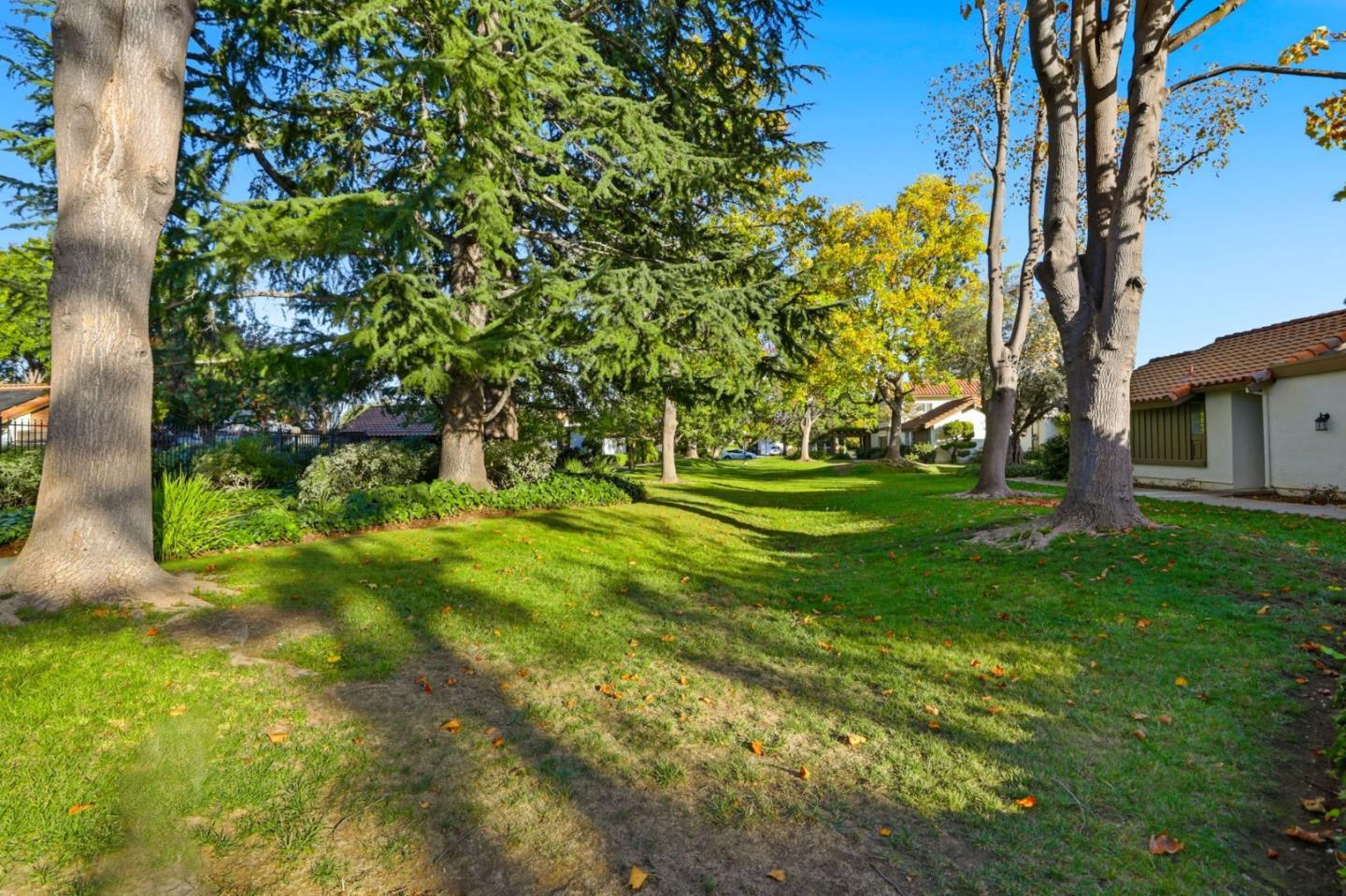 1092 Strayer Drive