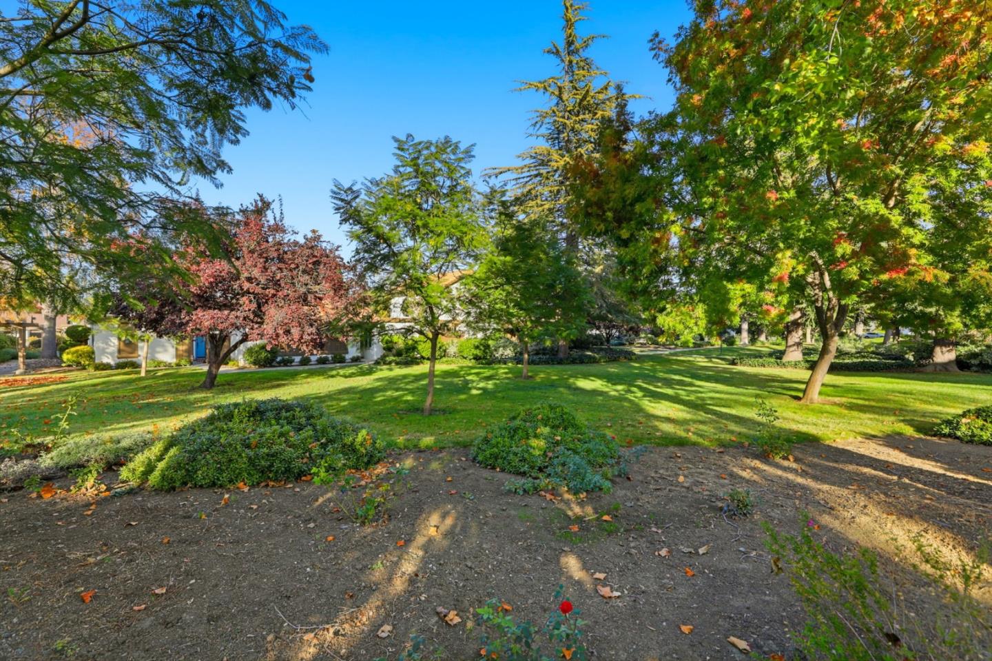 1092 Strayer Drive