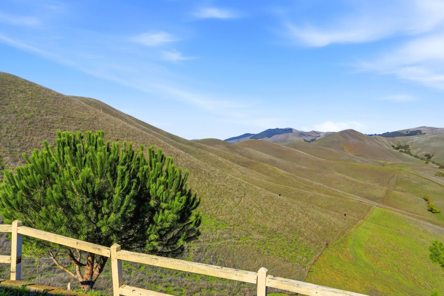 9019 Doubletree Lane