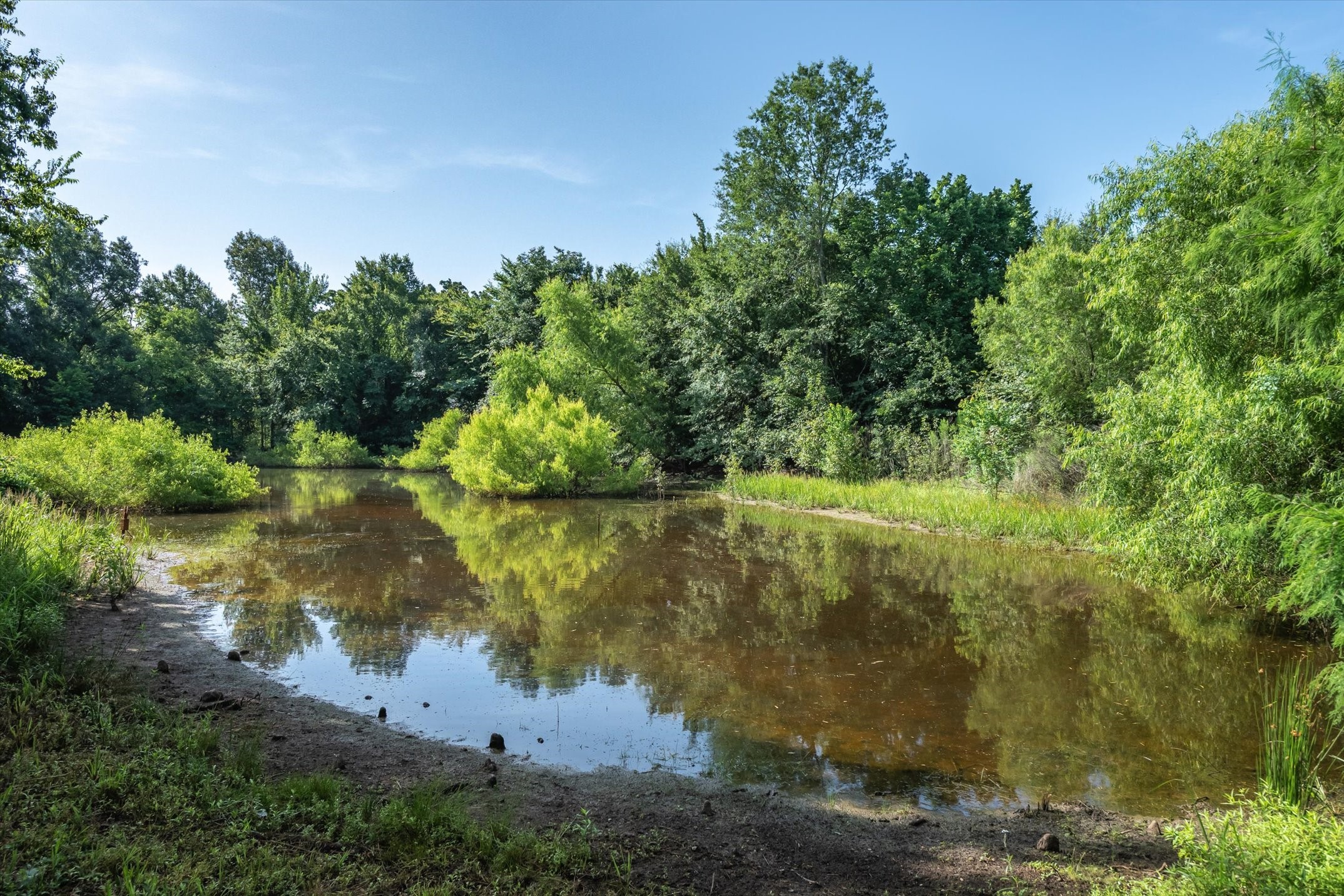 540 Vz County Road 1815