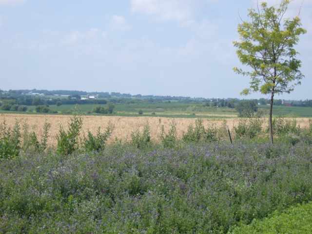 L19 Karolina Way