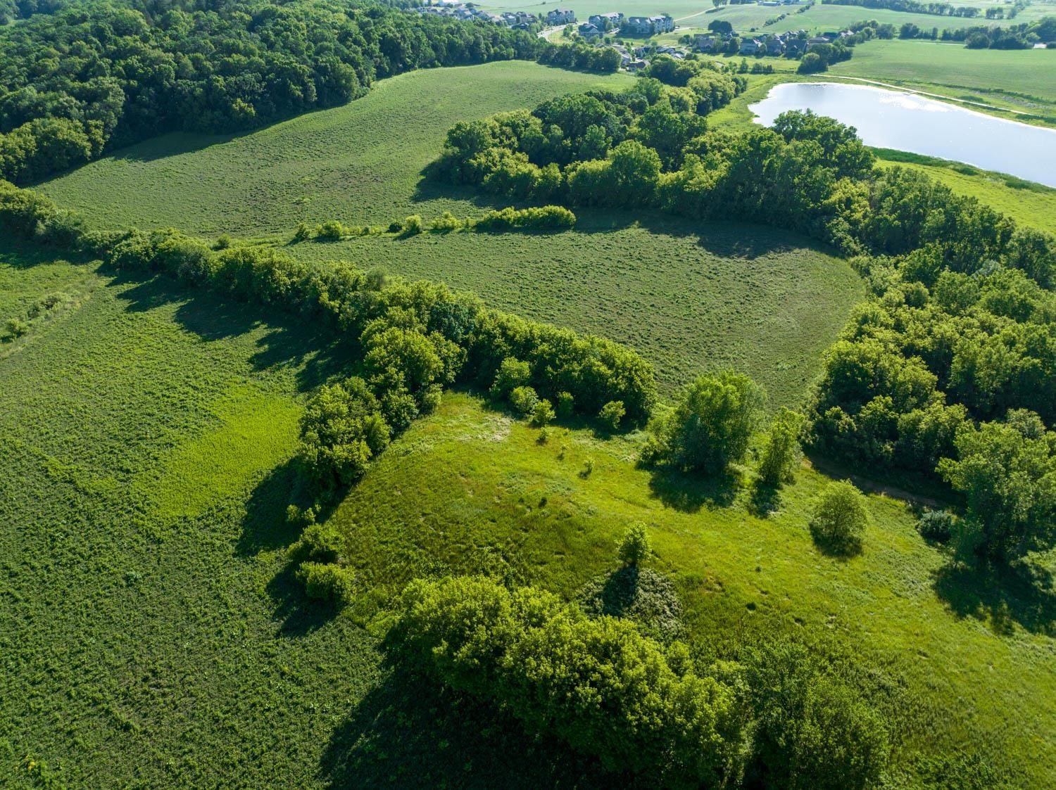 Lot 39 Belle Farm