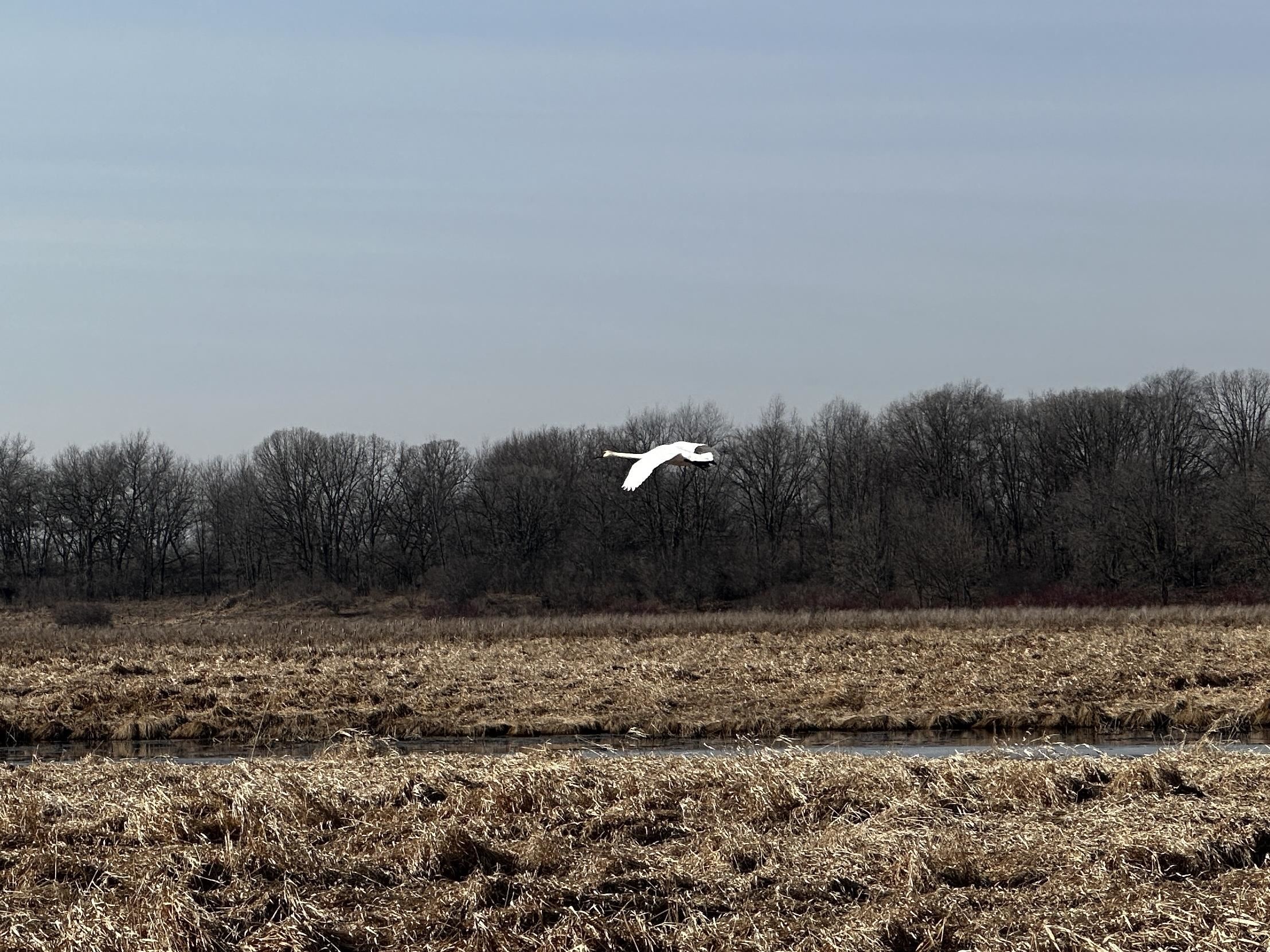 73.00AC County Road I