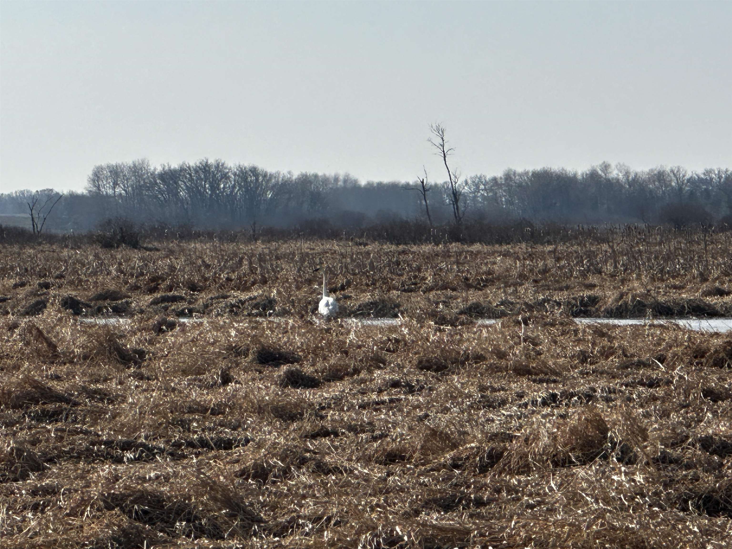 73.00AC County Road I