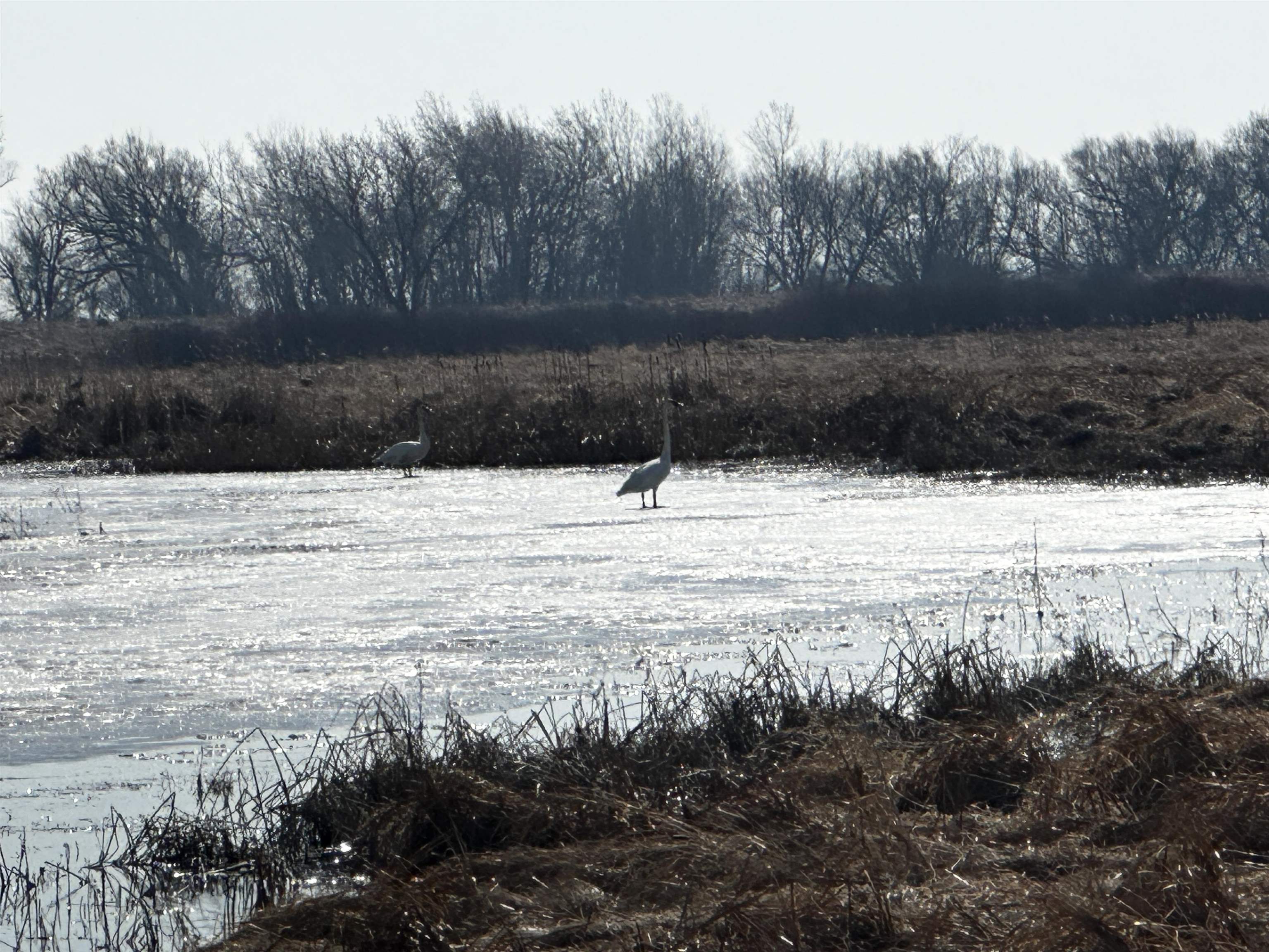 73.00AC County Road I