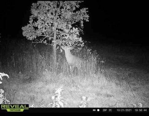 73.00AC County Road I
