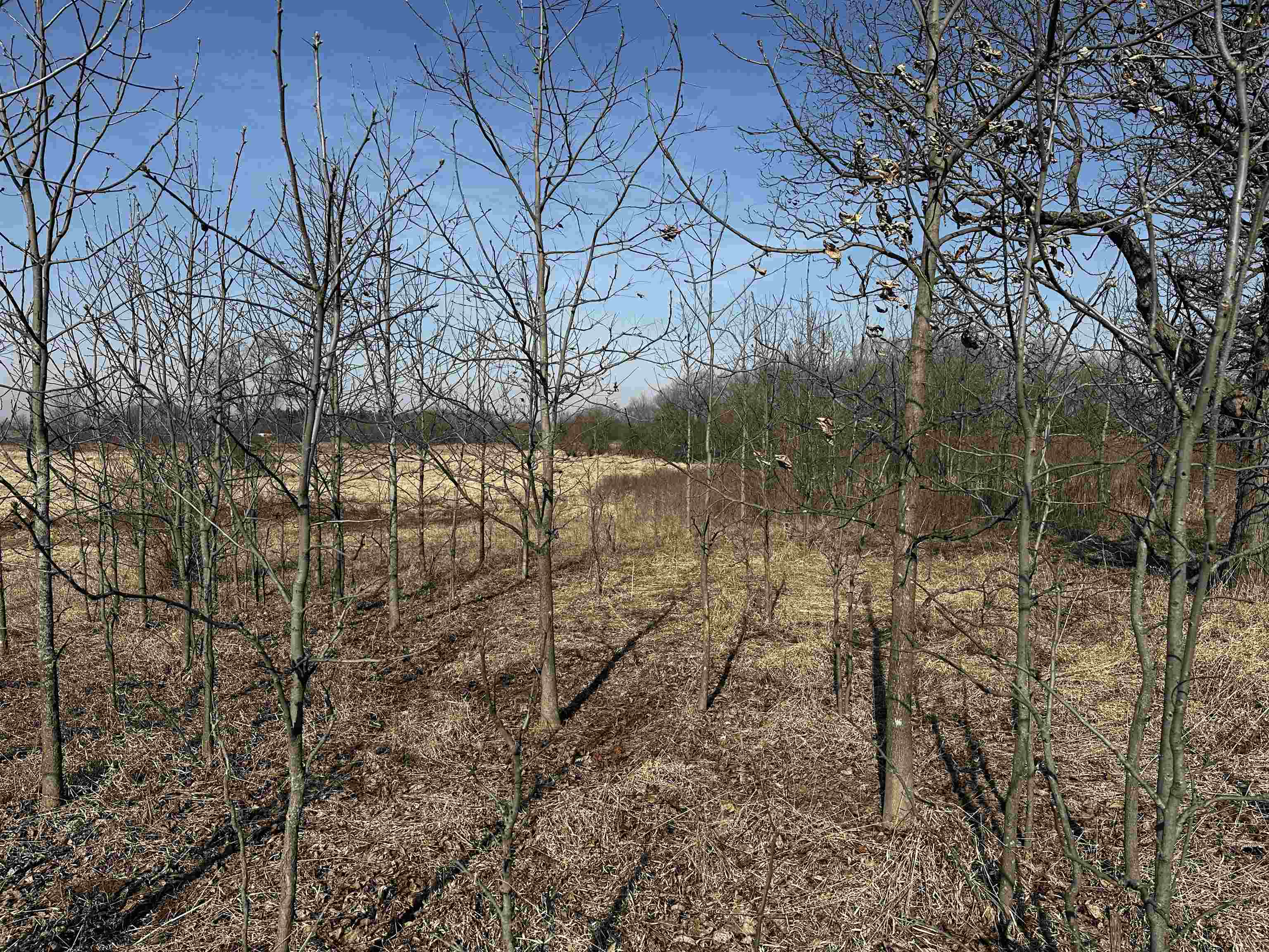 73.00AC County Road I