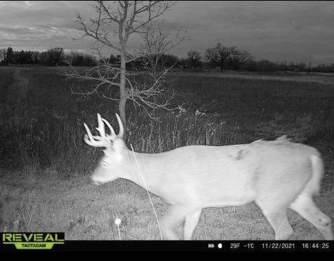 73.00AC County Road I