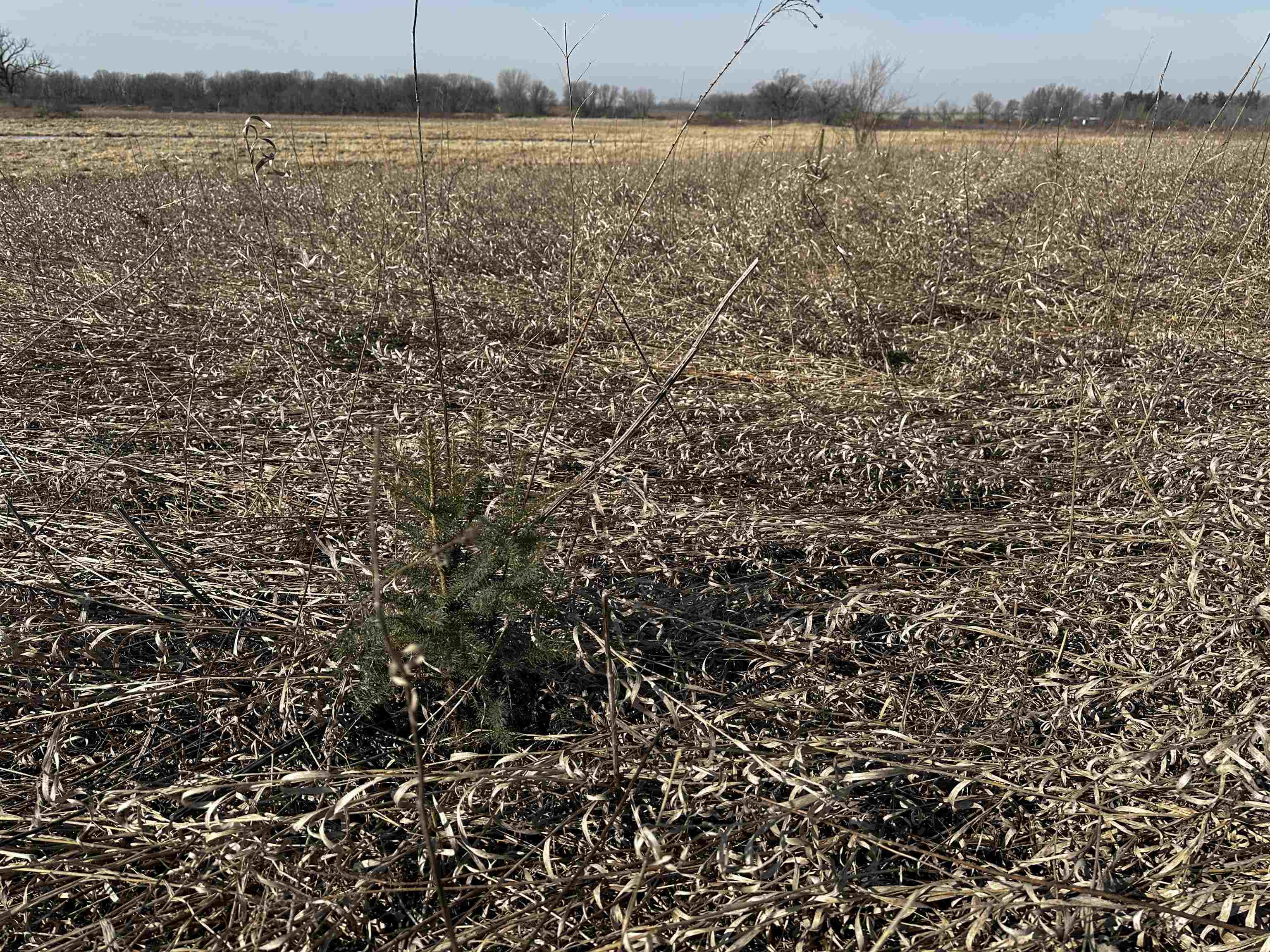 73.00AC County Road I