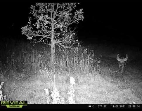 73.00AC County Road I