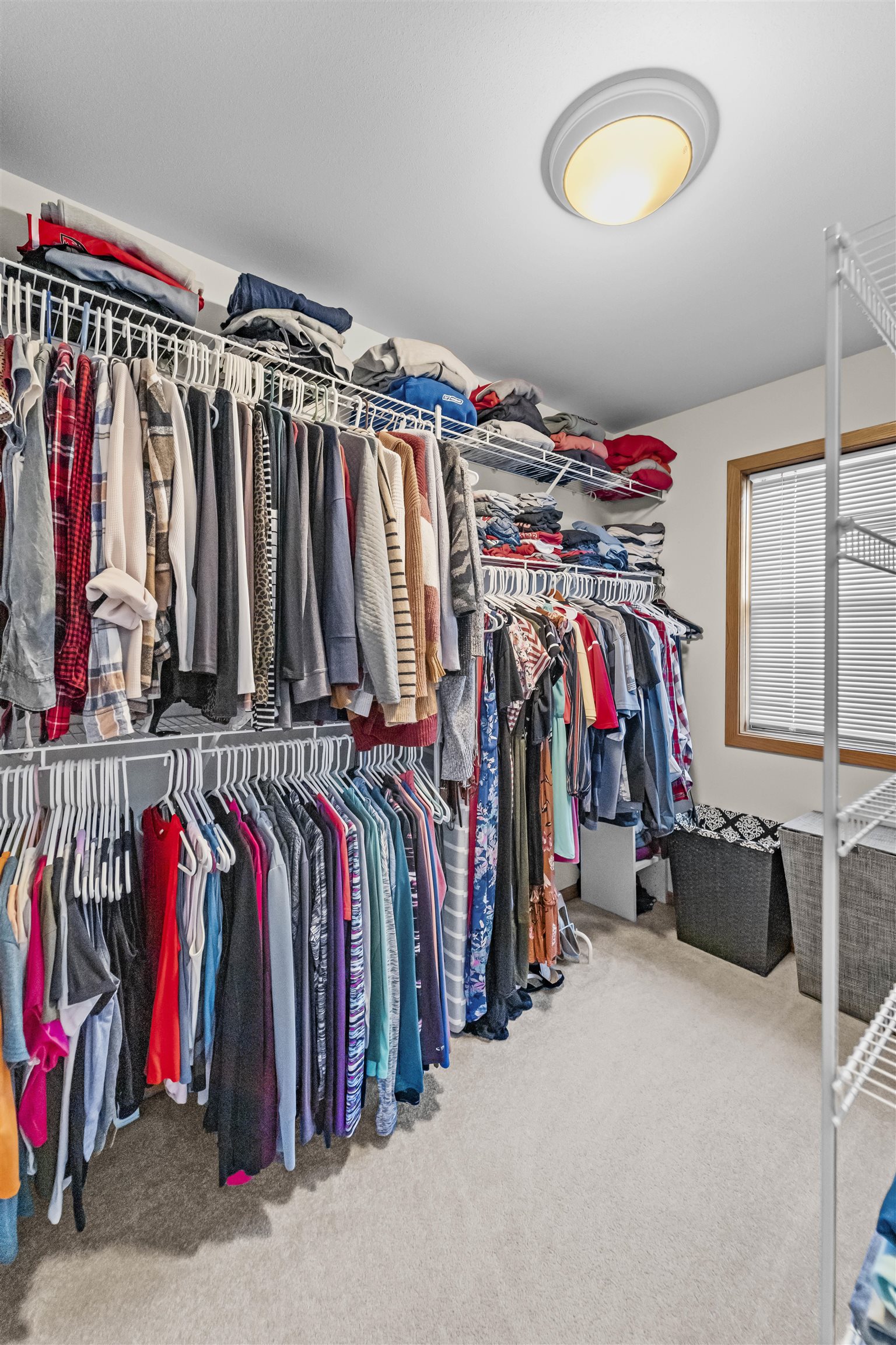 7233 Iris Bloom Drive