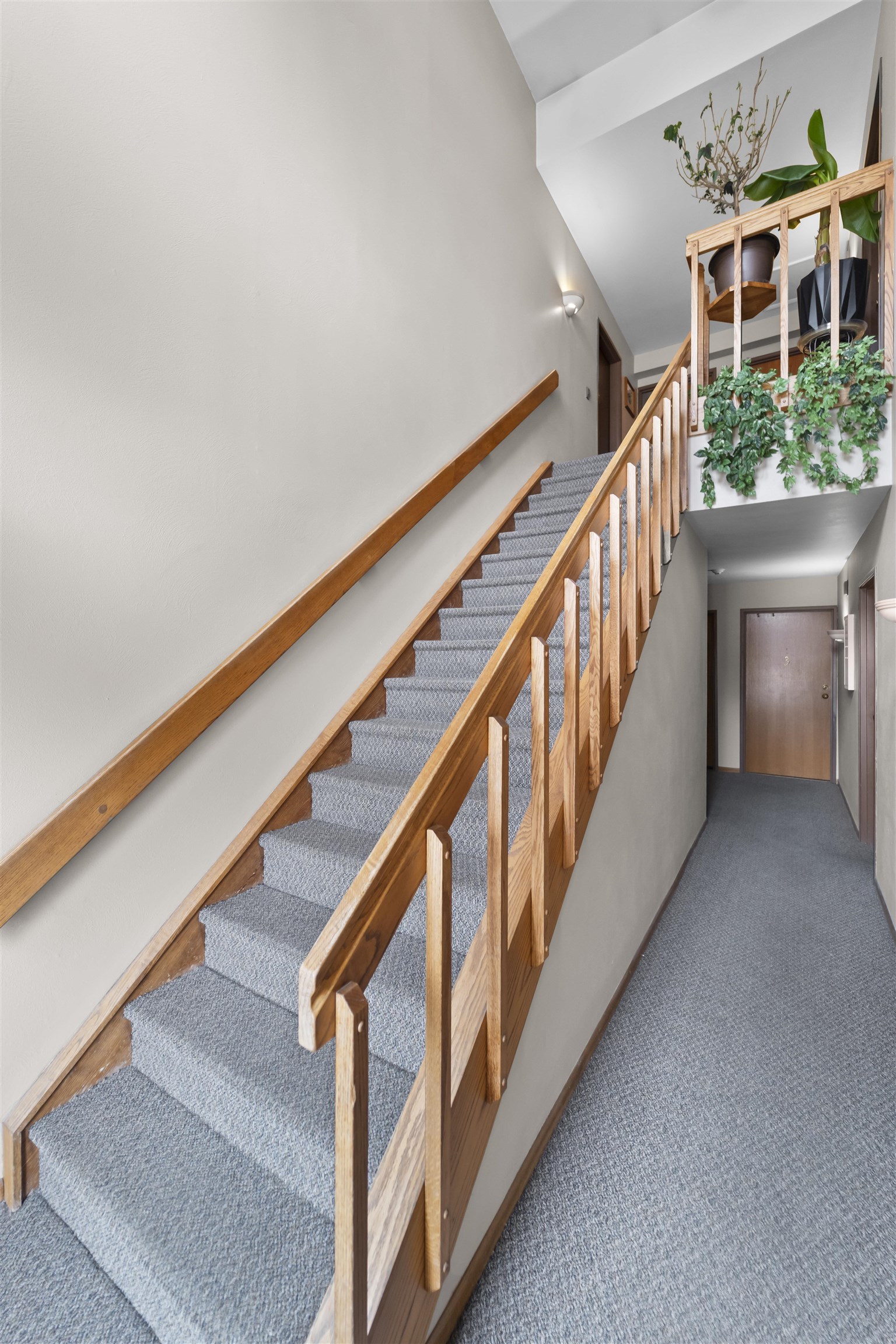 2229 Luann Lane 6
