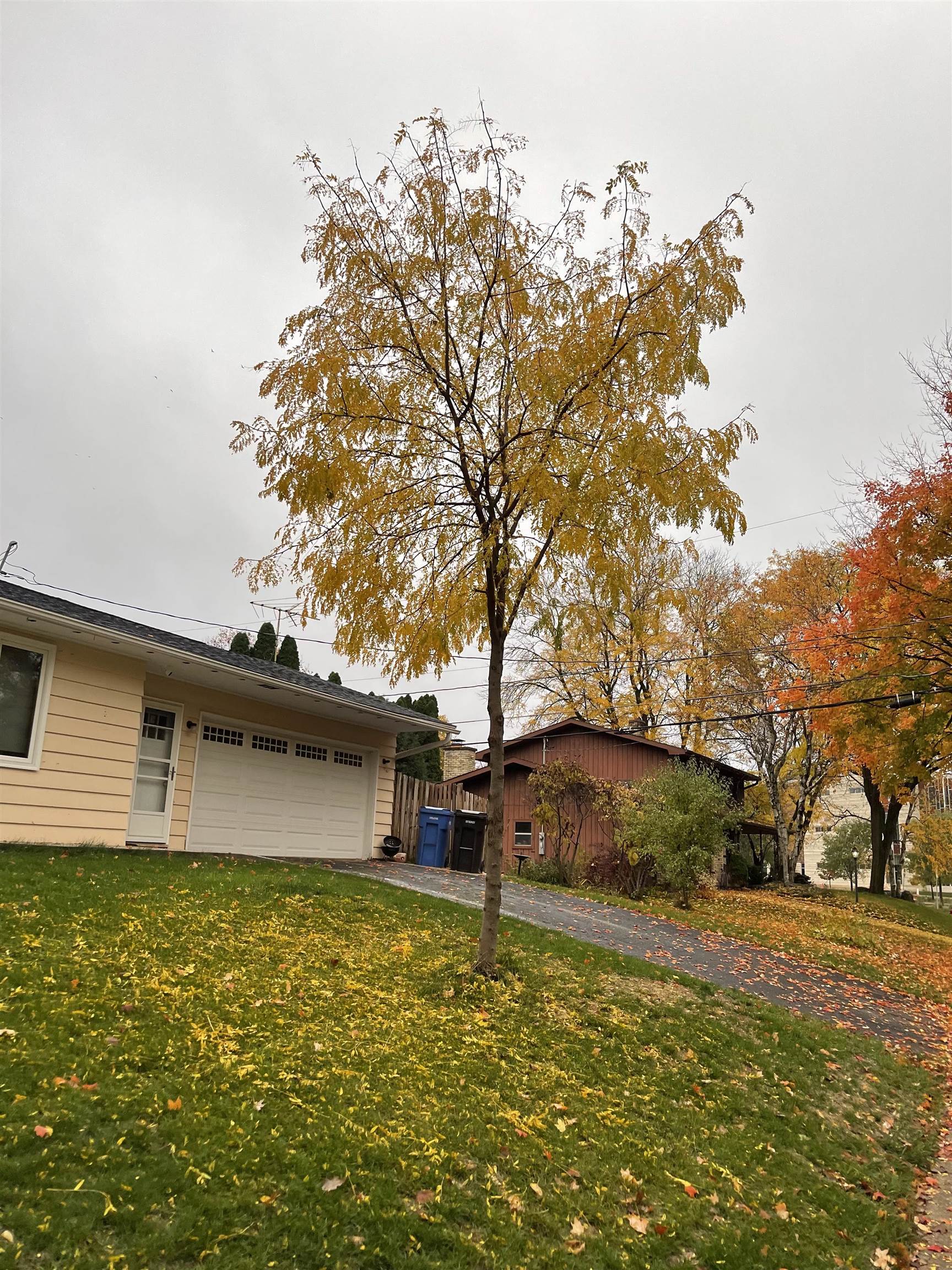 2907 Ravine Drive