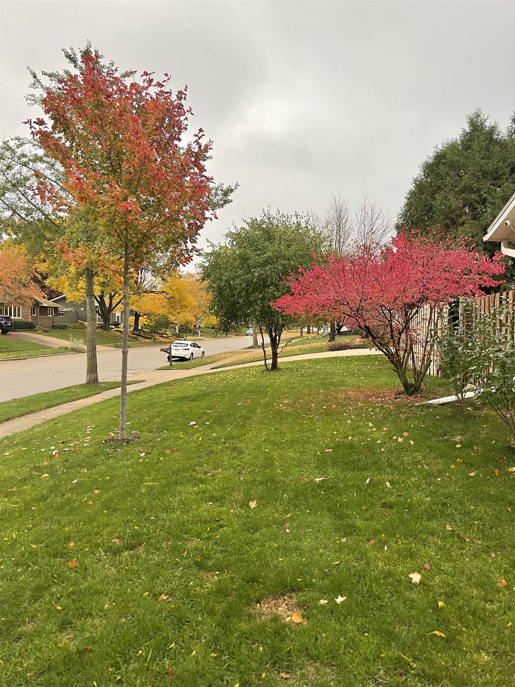 2907 Ravine Drive