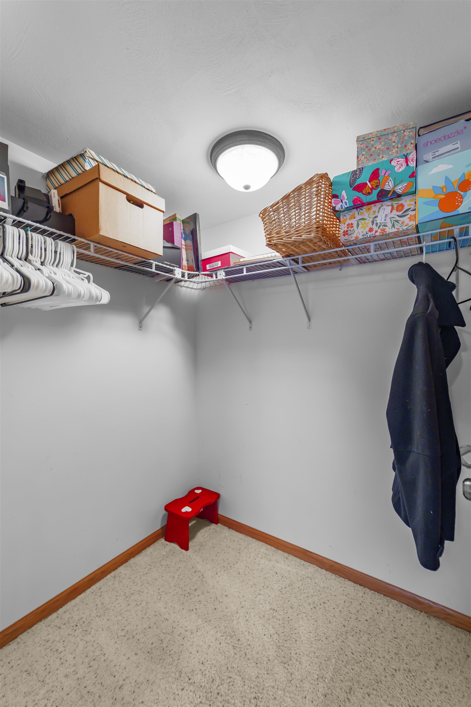 7884 Wood Reed Drive