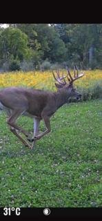 W7181 Duck Creek Avenue