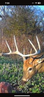 W7181 Duck Creek Avenue