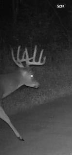 W7181 Duck Creek Avenue