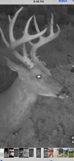 W7181 Duck Creek Avenue