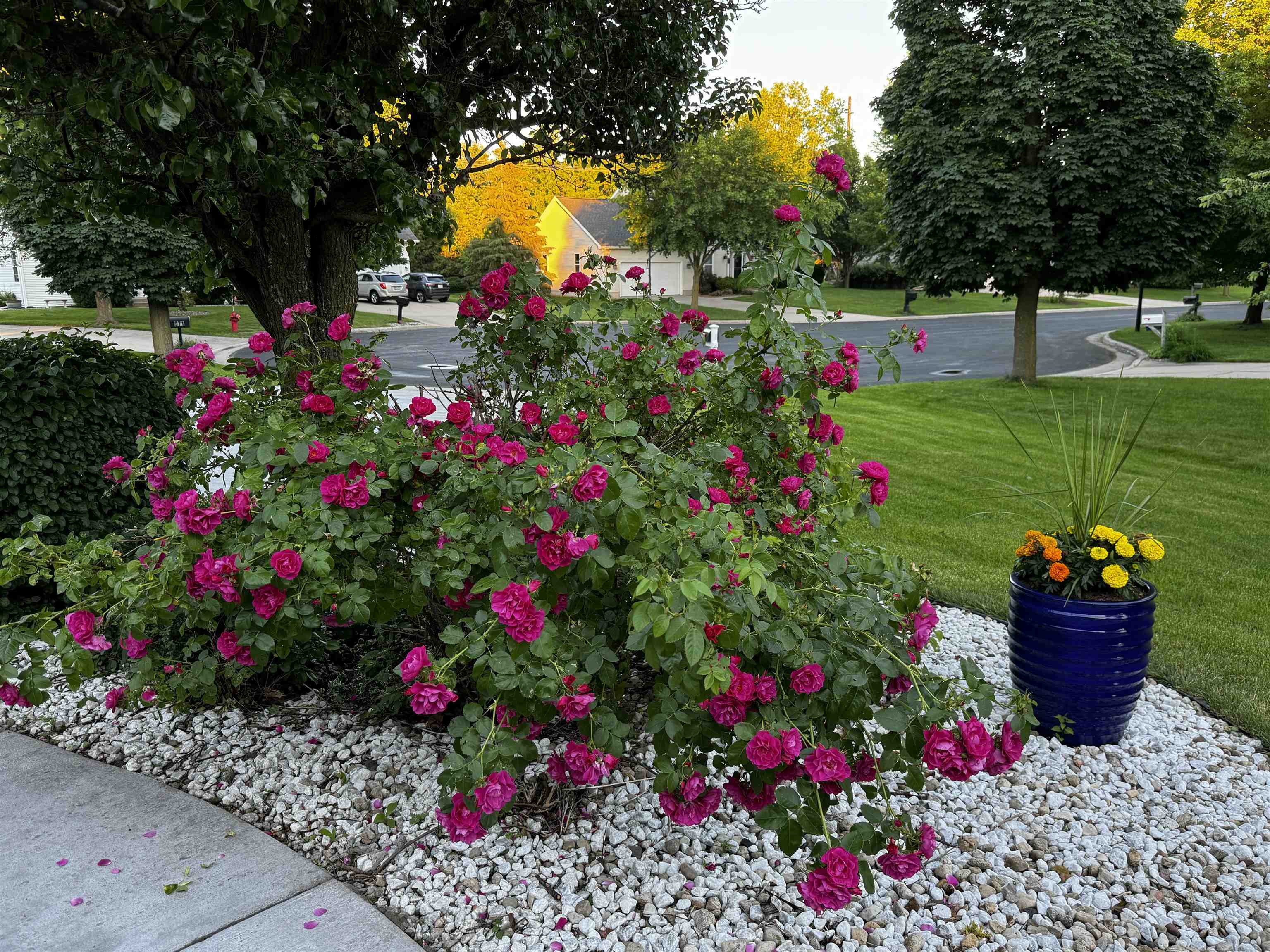 968 Sandpiper Court