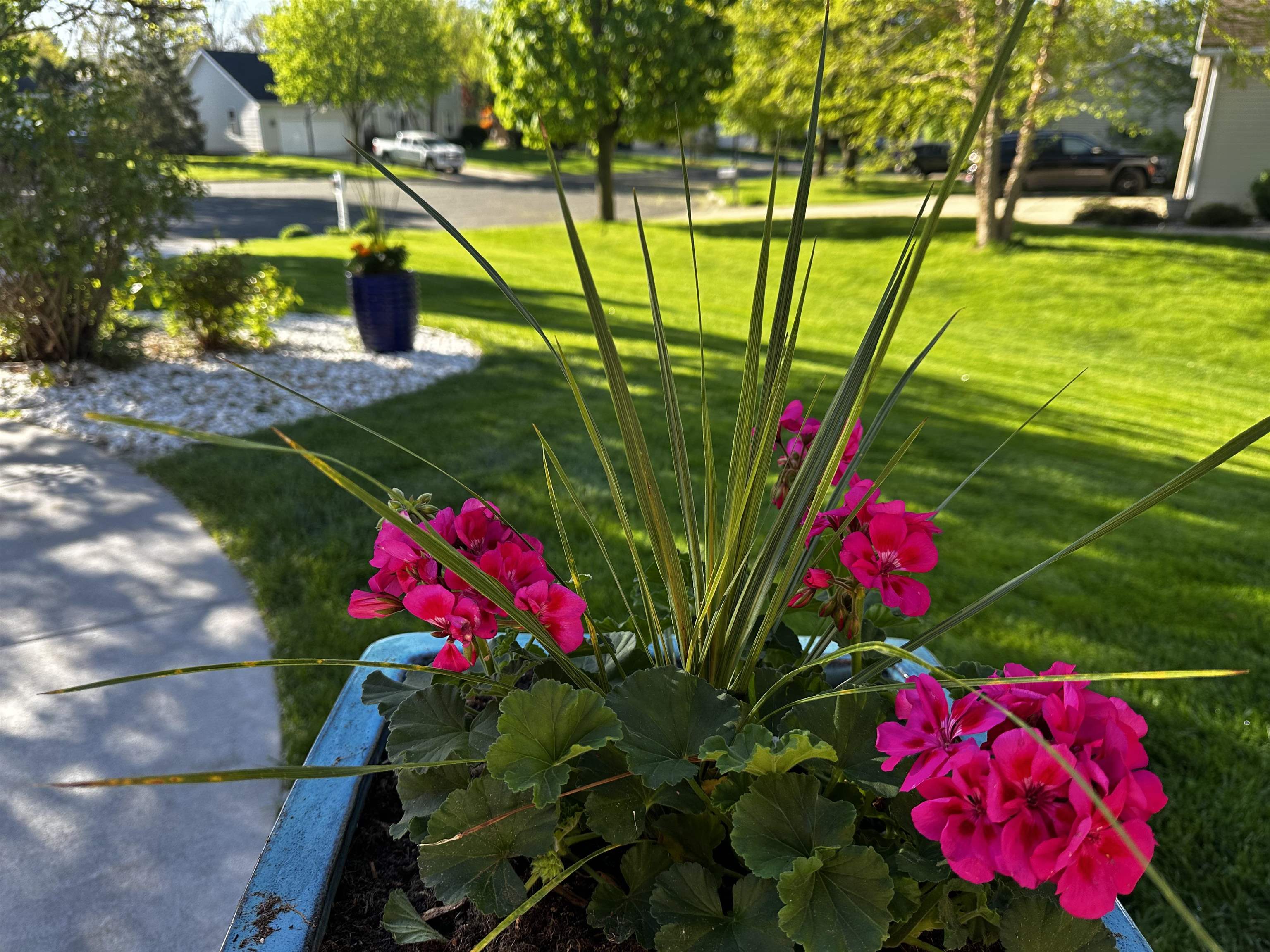 968 Sandpiper Court