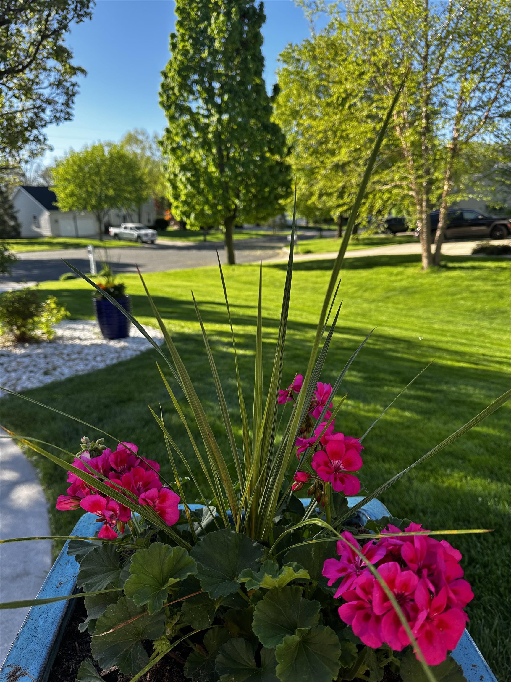 968 Sandpiper Court
