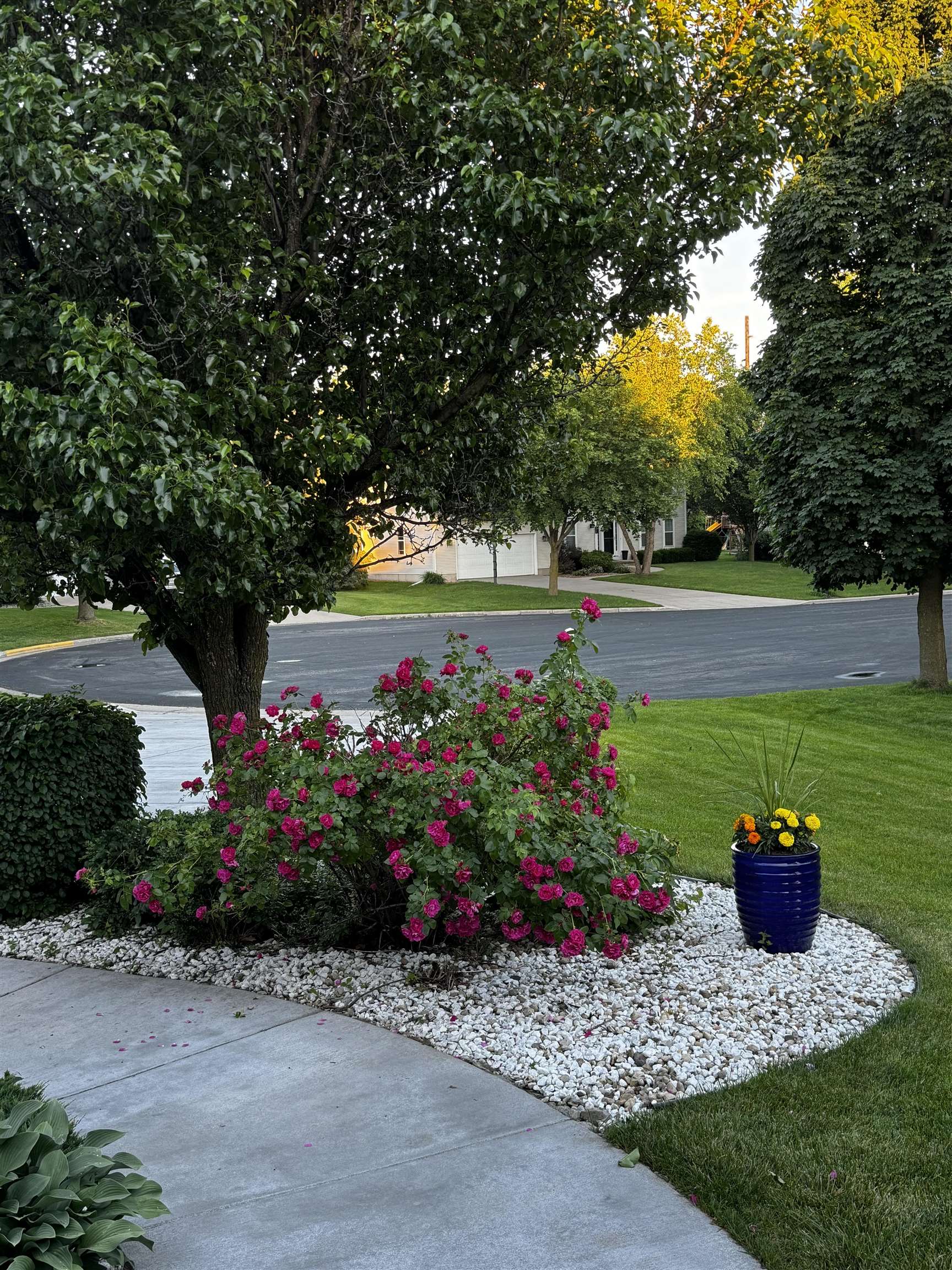 968 Sandpiper Court