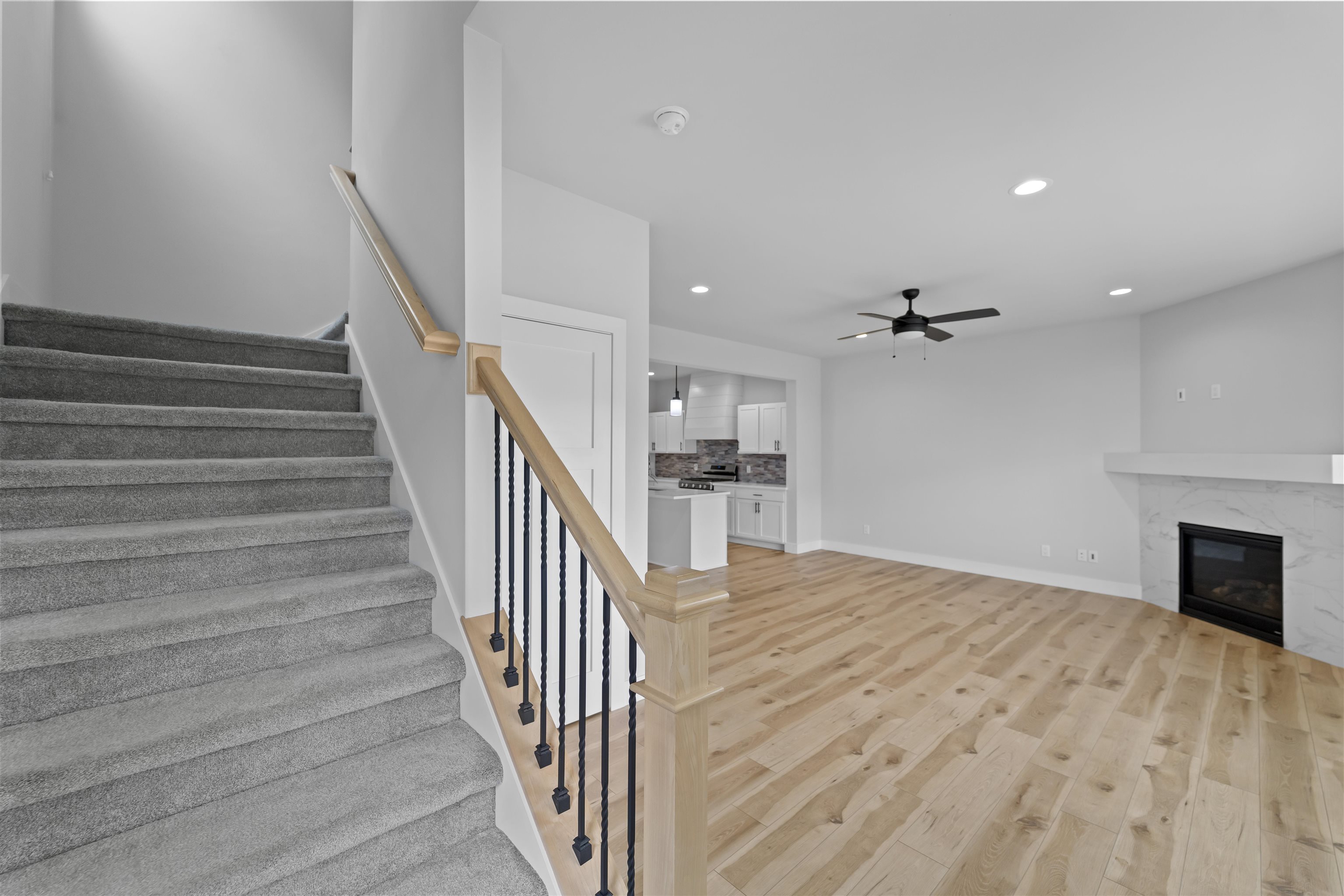 2802 Frisee Drive